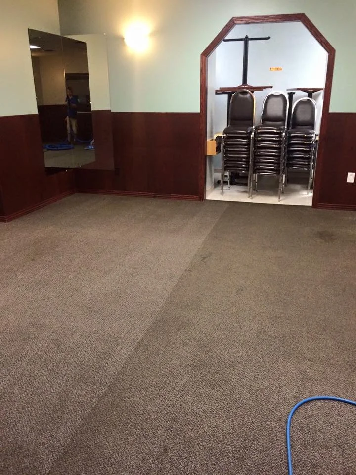 Professional Carpet Cleaning