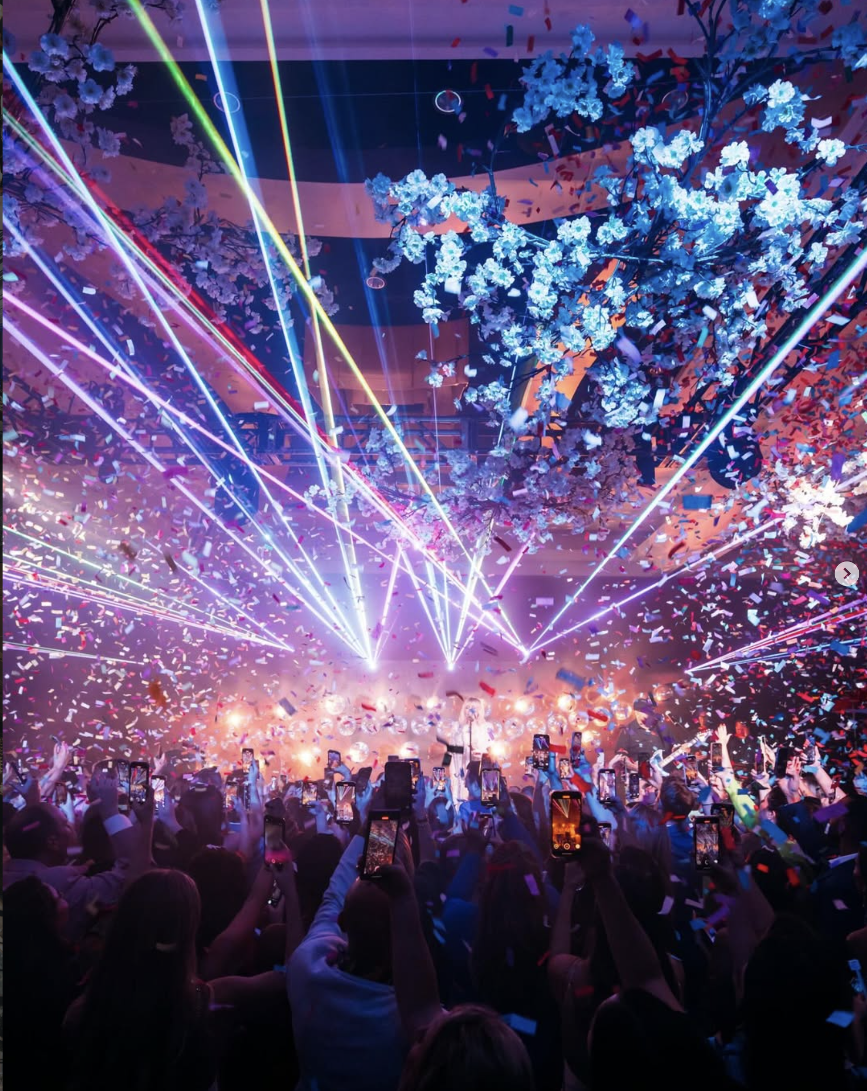 A concert scene with a large crowd and dozens of people holding up their phones, fireworks, and laser lights in the air, with blue flowering branches hanging above.