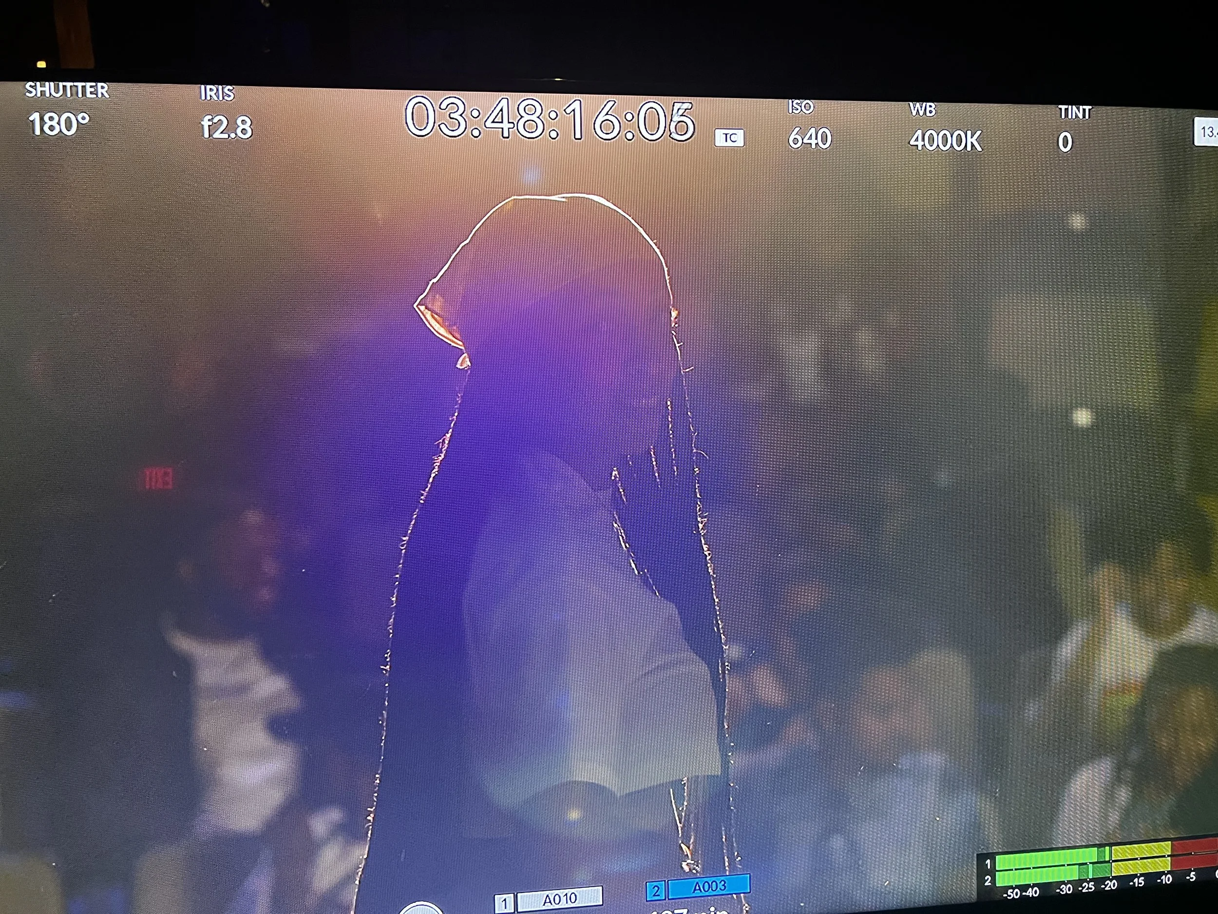 Taylor on camera!