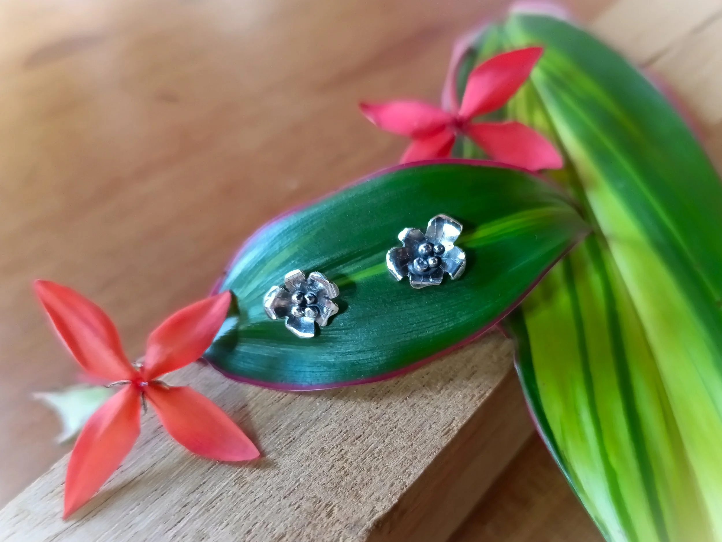 Puces d'oreilles fleurs sauvages