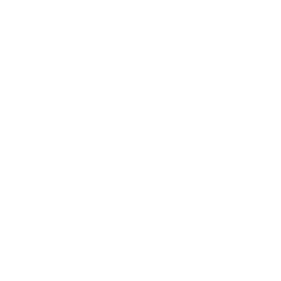 Instagram logo icon with a camera outline