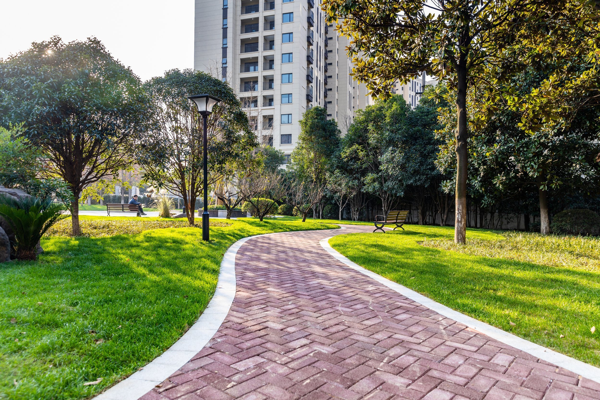 Commercial Landscaping in Montclair, NJ: Enhancing Business Fronts With Signature Plantings