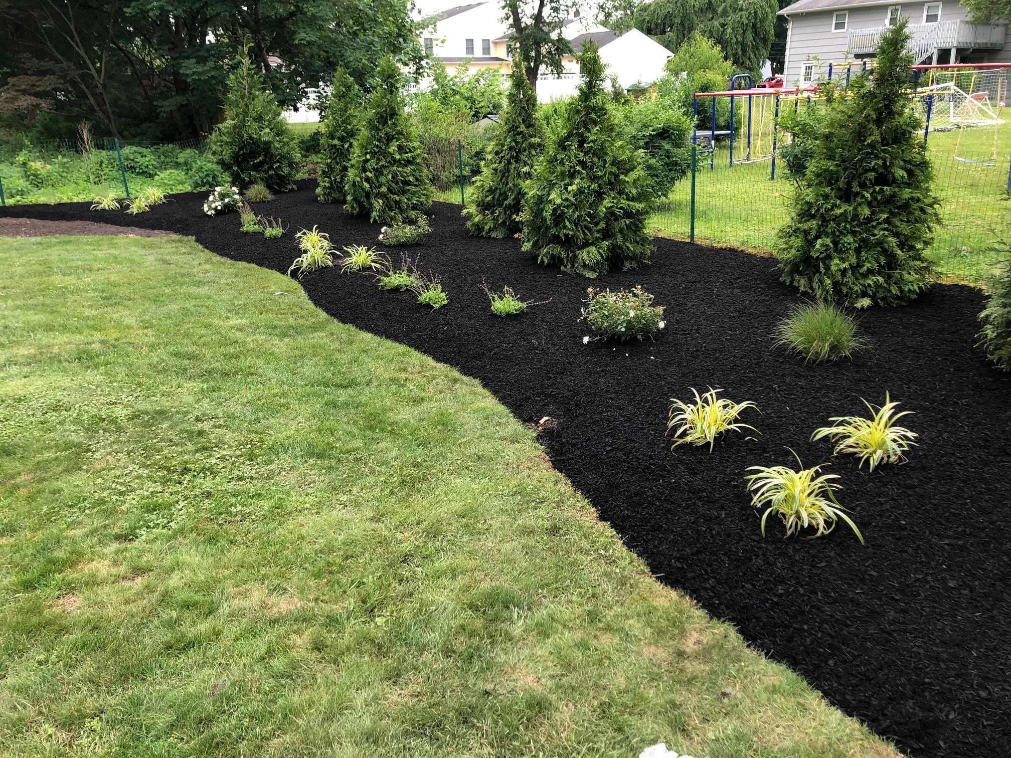 See Native Plantings Take Your Millburn or Glen Ridge, NJ Outdoor Spaces to Next Level Beauty 