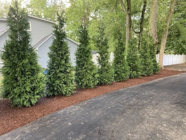 Need a New Saddle River, NJ Landscape Design Be Sure to Include Attractive Plantings