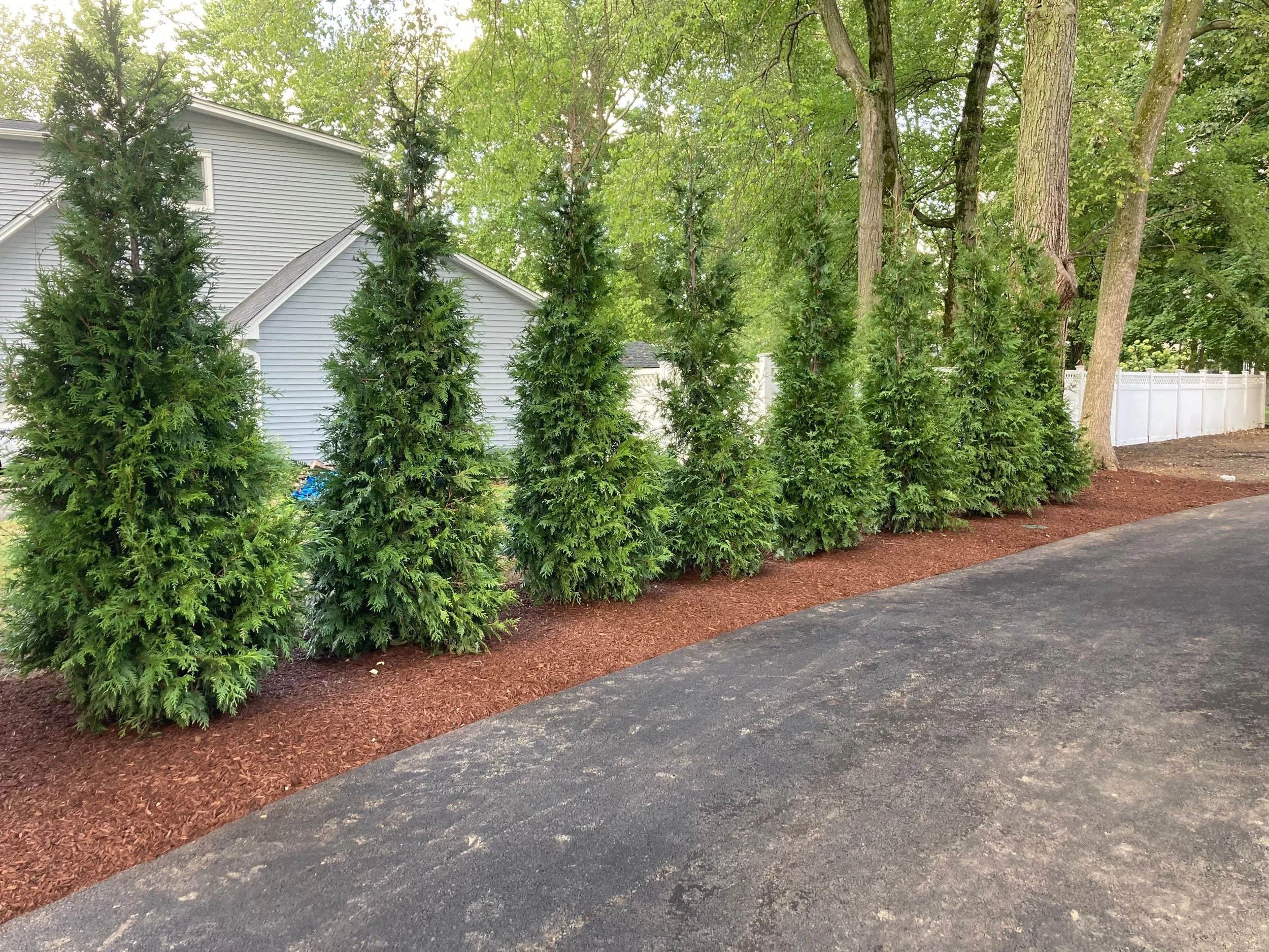 The Important Role Plantings Play in a Landscape Design in the Short Hills, NJ Area