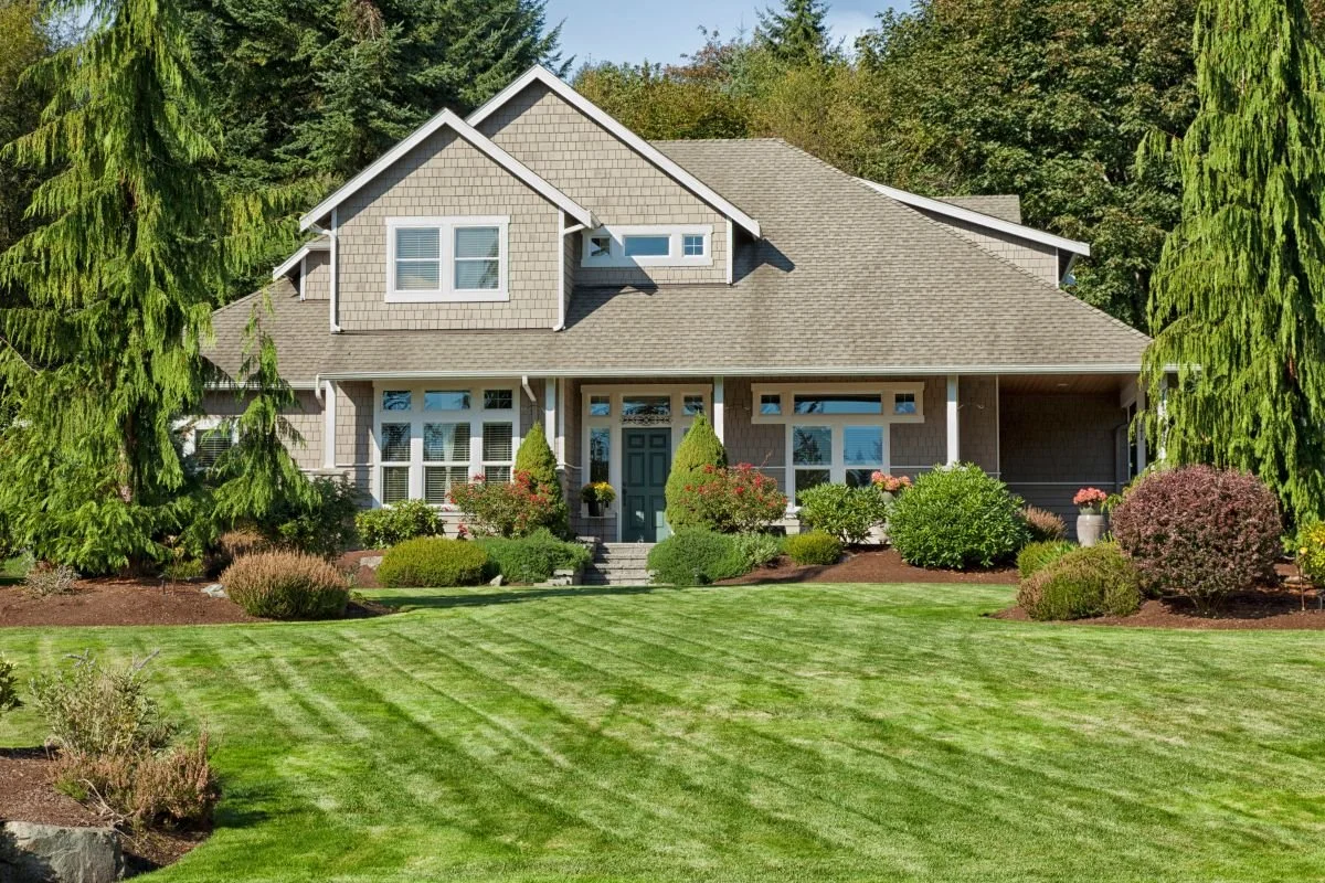 A thick, healthy lawn maintained by lawn care programs.