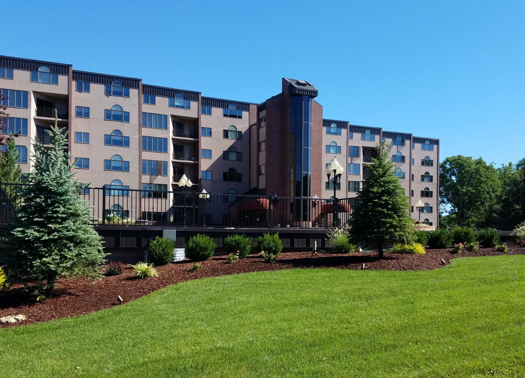Well-maintained lawn and mulched planting bed with evergreen tree in front of a multi-story residential building — Green Nature Landscape Design