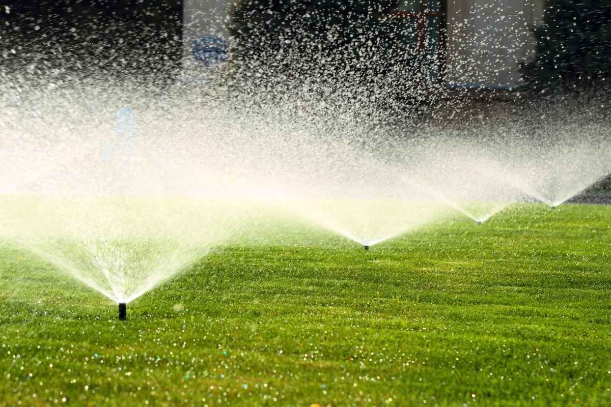 In-ground sprinkler heads simultaneously irrigating a lush commercial lawn area