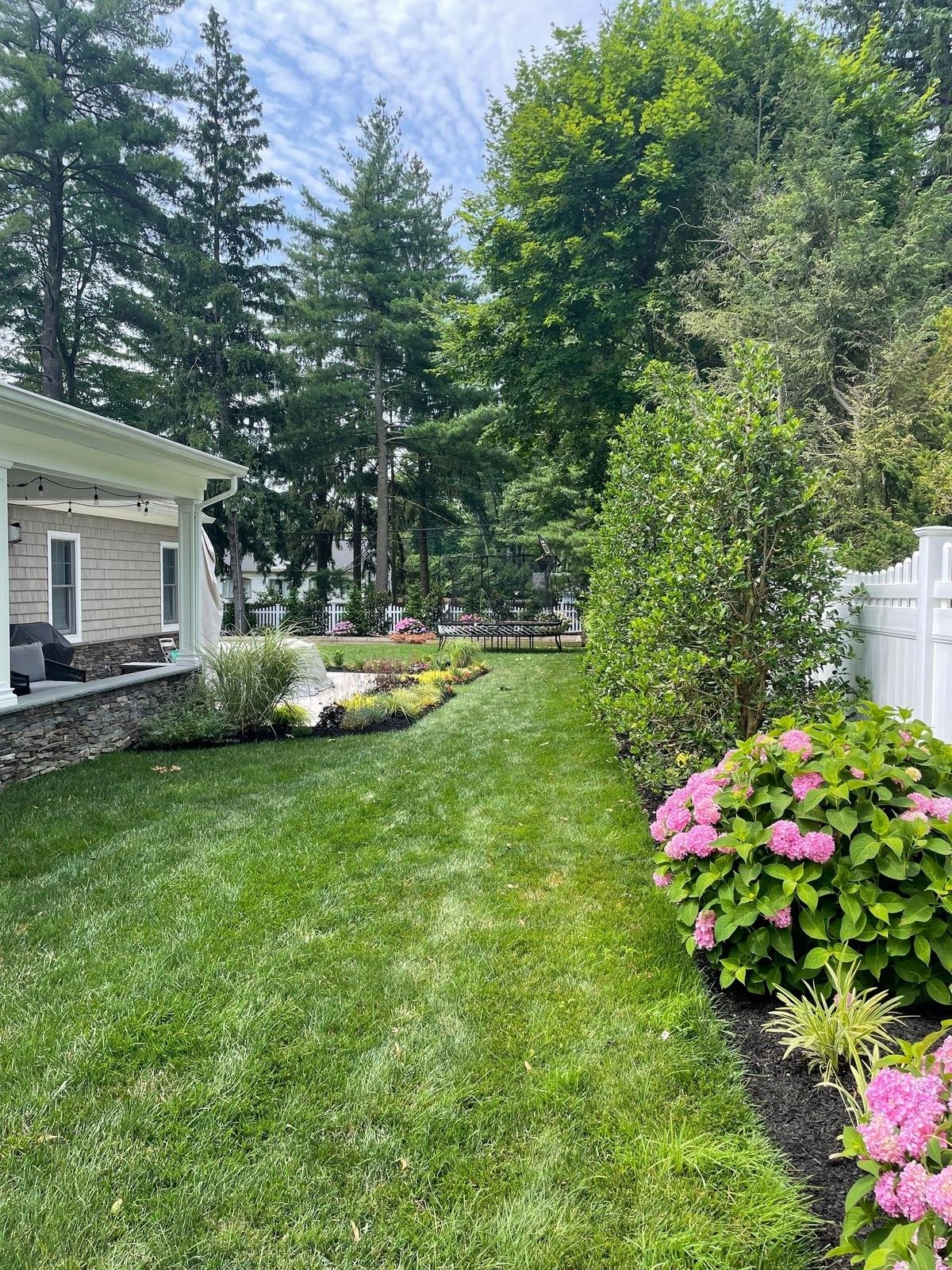 Landscaped backyard with lush green lawn, blooming pink hydrangeas, and mixed plantings beside a home. — Green Nature Landscape Design