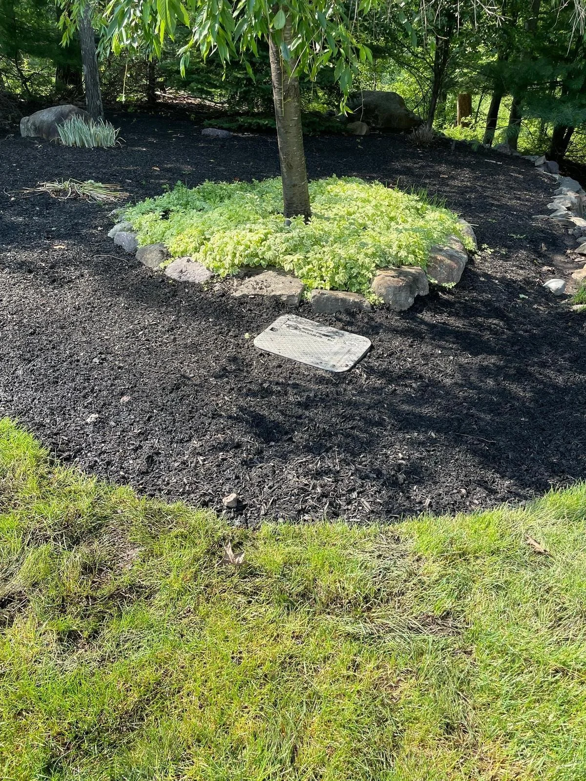 A lawn sprinkler system installation completed on a residential property - Green Nature Landscape Design