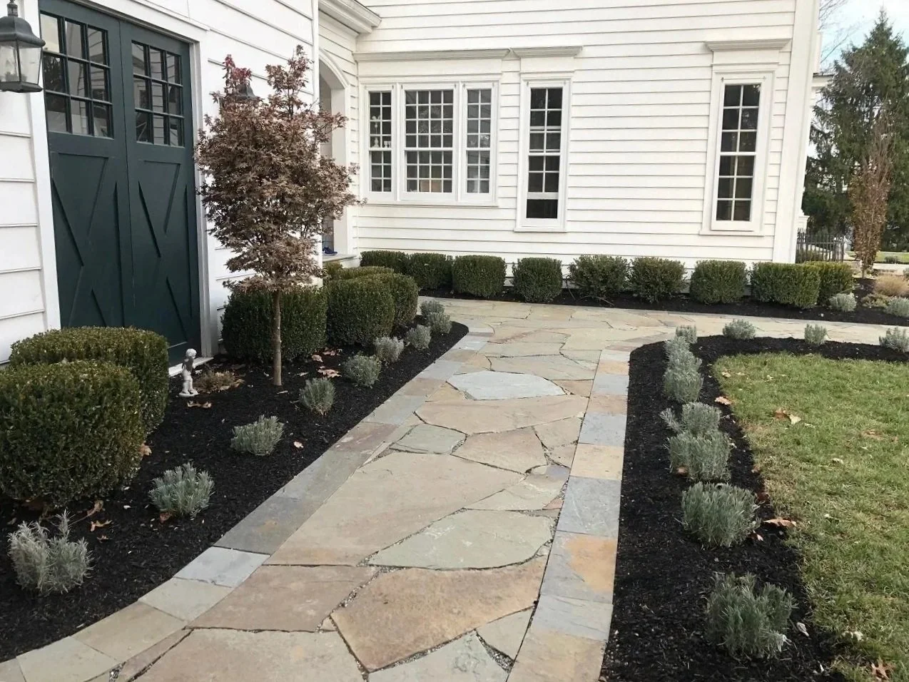 Completed flagstone walkway bordered by trimmed boxwoods, lavender, and dark mulch beds along the side of a white residential home. — Green Nature Landscape Design