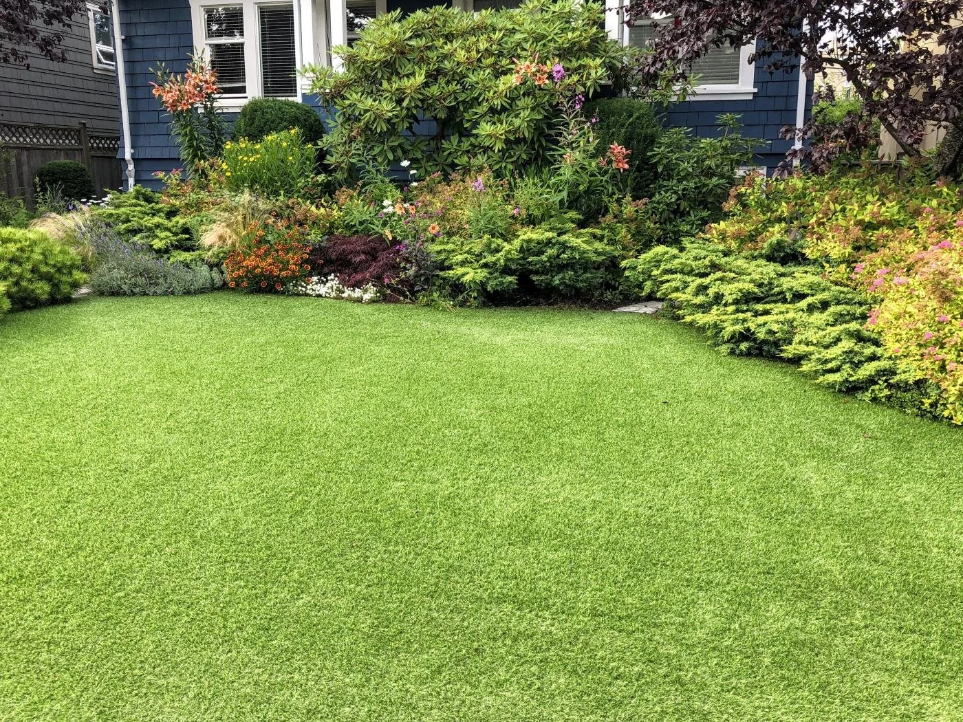 A beautifully maintained lawn with healthy grass and plantings.