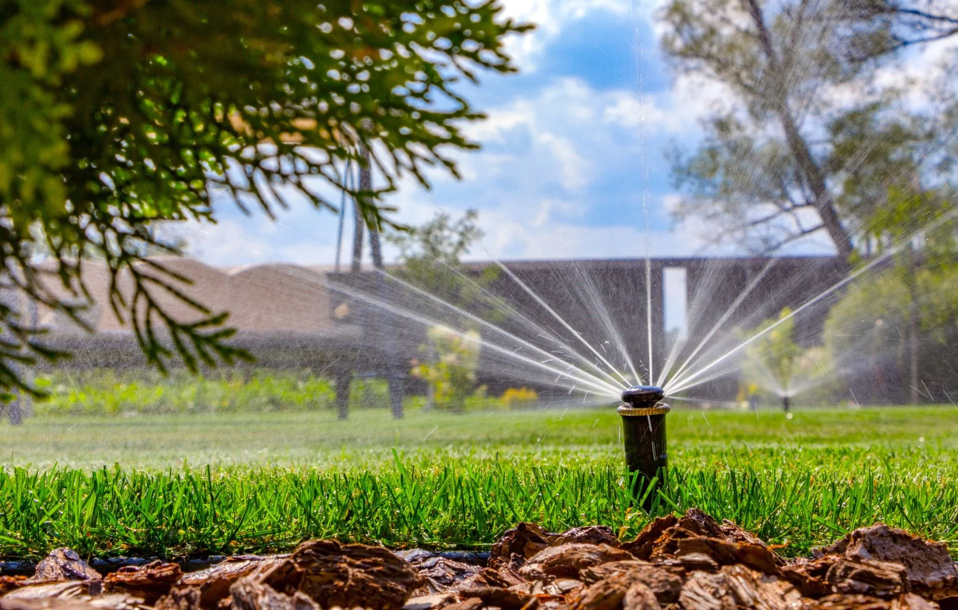 Close-up of a pop-up sprinkler head watering a green lawn with a building in the background.