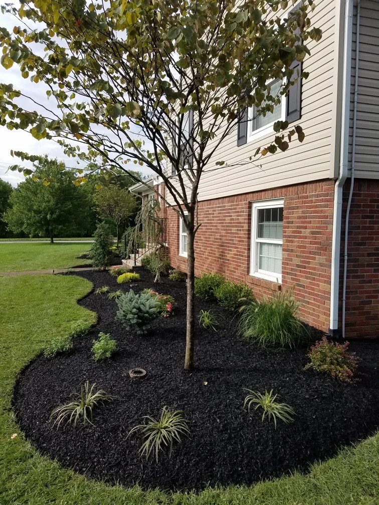 Professional plantings installed along a home's foundation. - Green Nature Landscape Design