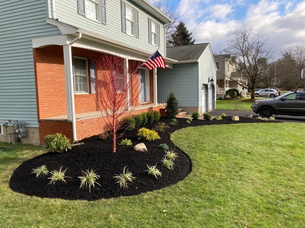 Front yard landscape renovation with a red-branched tree, mixed shrubs, ornamental grasses, and fresh black mulch at a residential home. — Green Nature Landscape Design