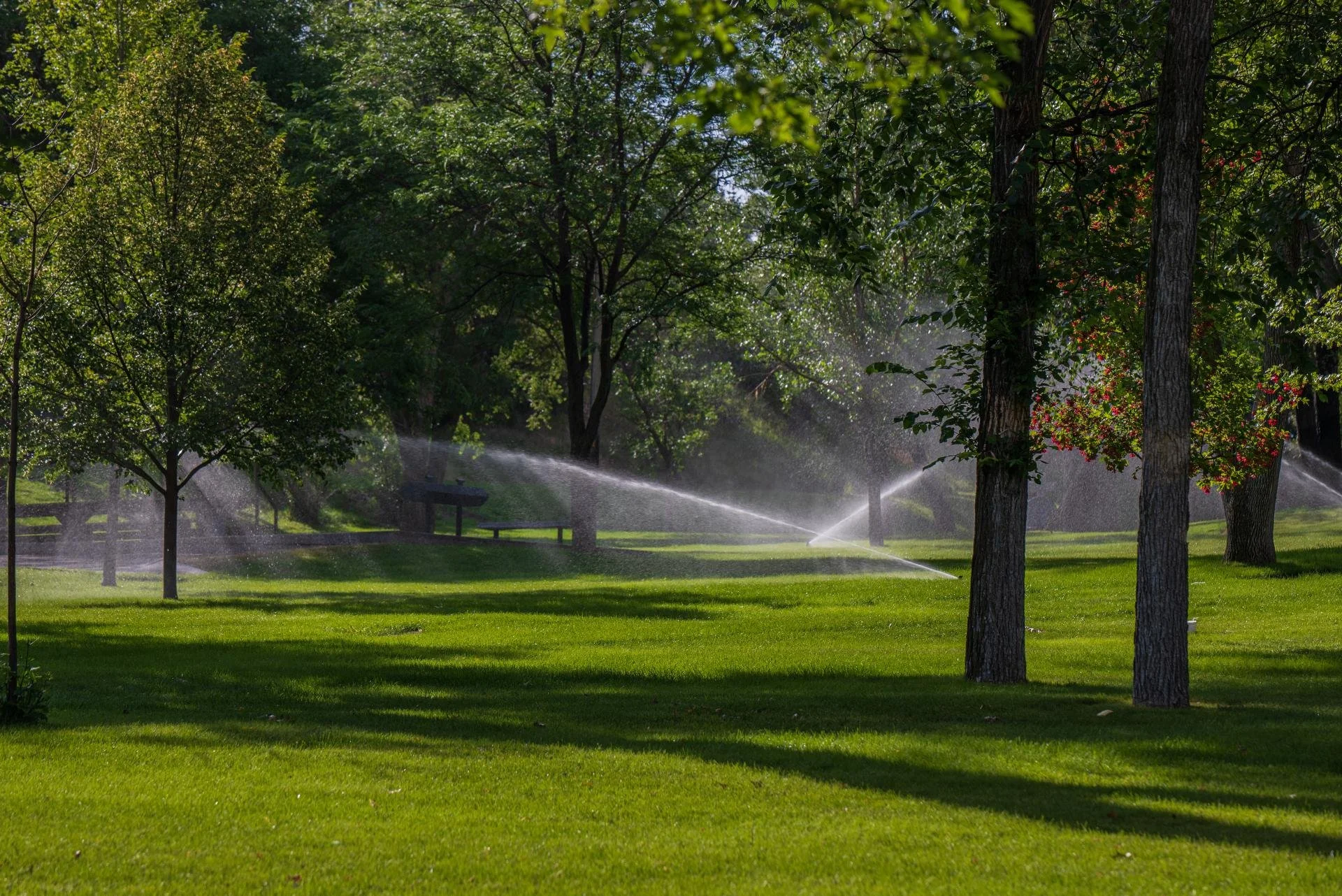 Multiple rotary sprinkler heads watering a large open lawn area shaded by mature trees