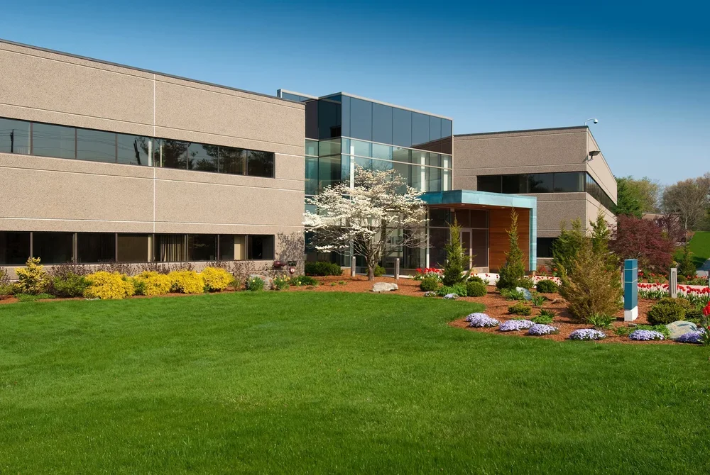 Commercial office building entrance flanked by colorful seasonal plantings, mulch beds, and a well-maintained green lawn
