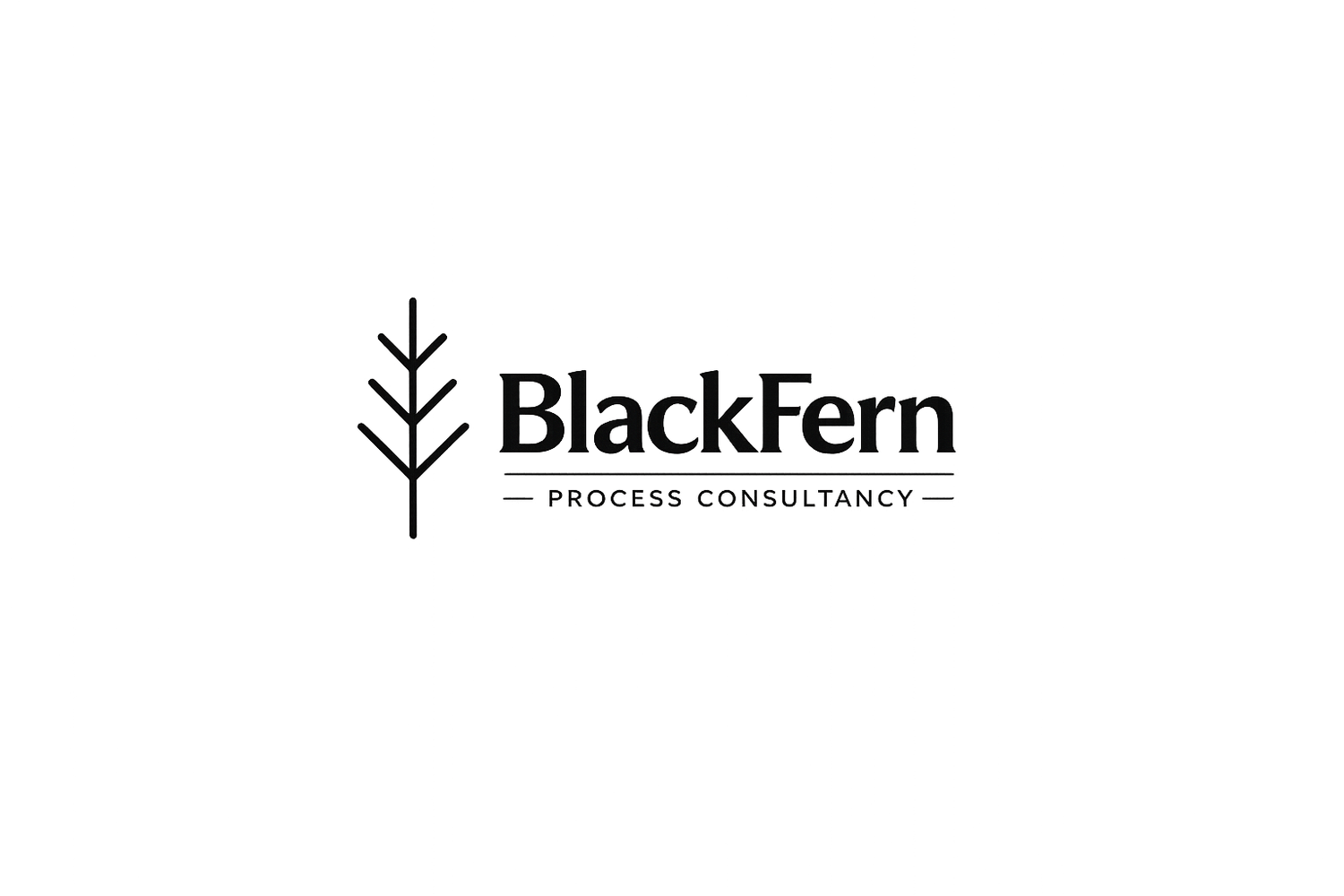 BlackFern Process Consultancy