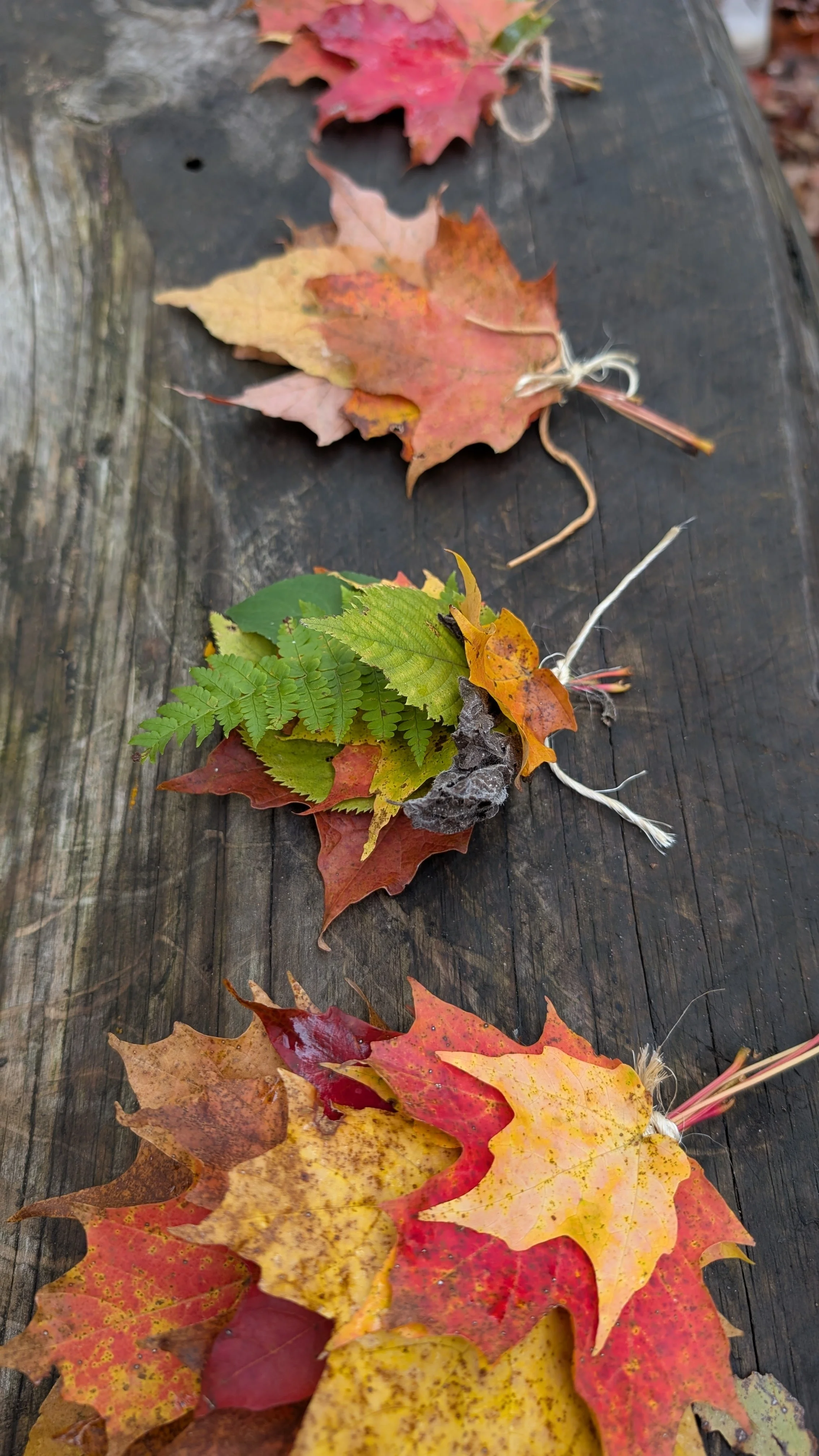 Fall leaves arranged like small bouquets