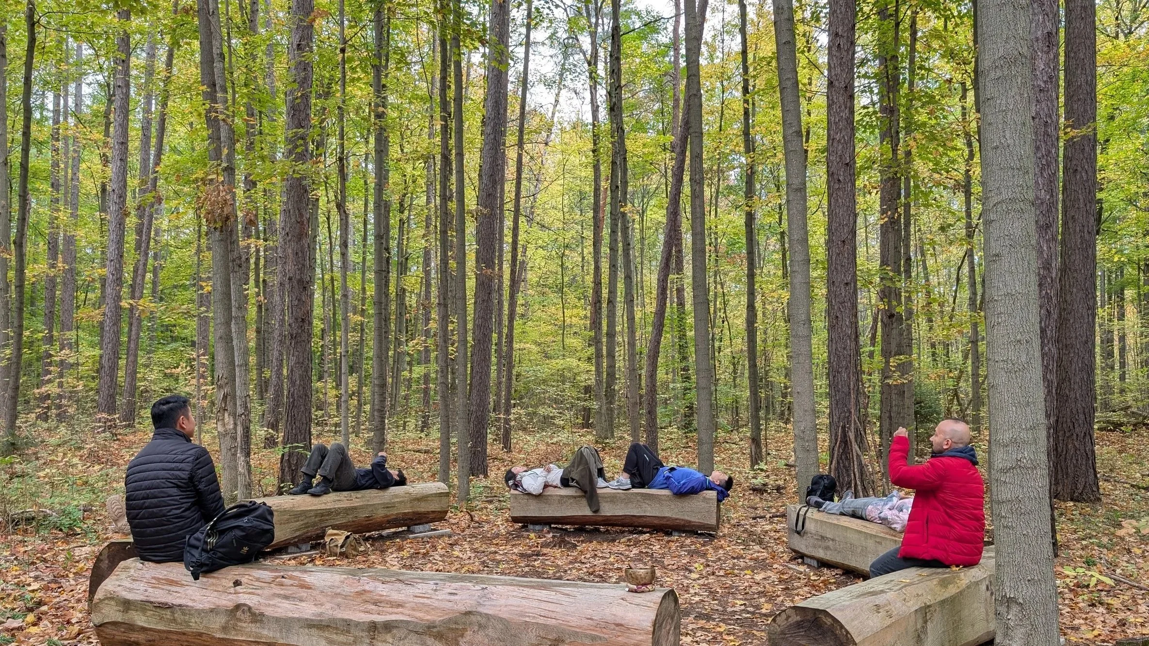 In a Forest Bathing session, everyone is immersed within the nature