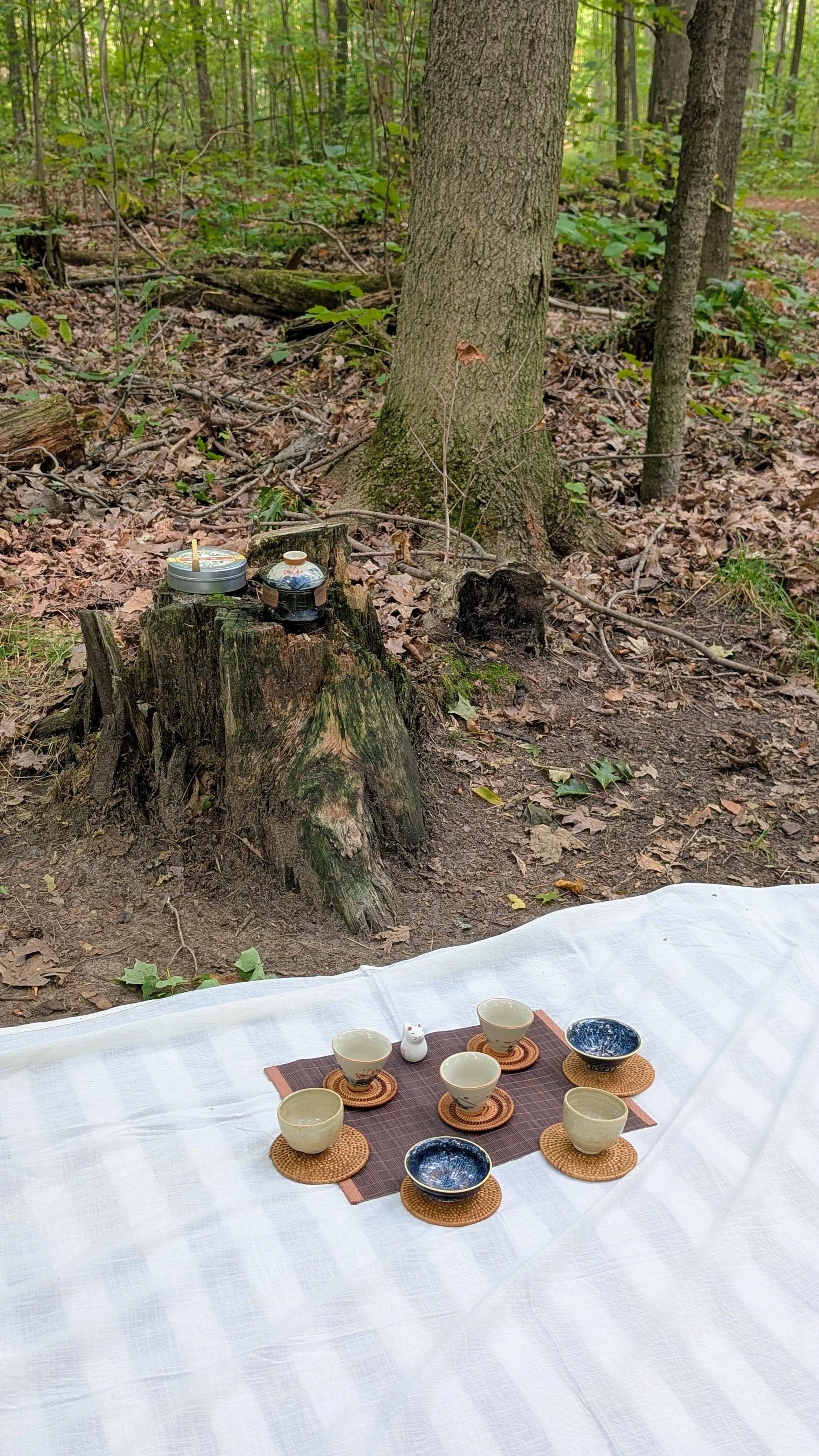 Forest Tea ceramony