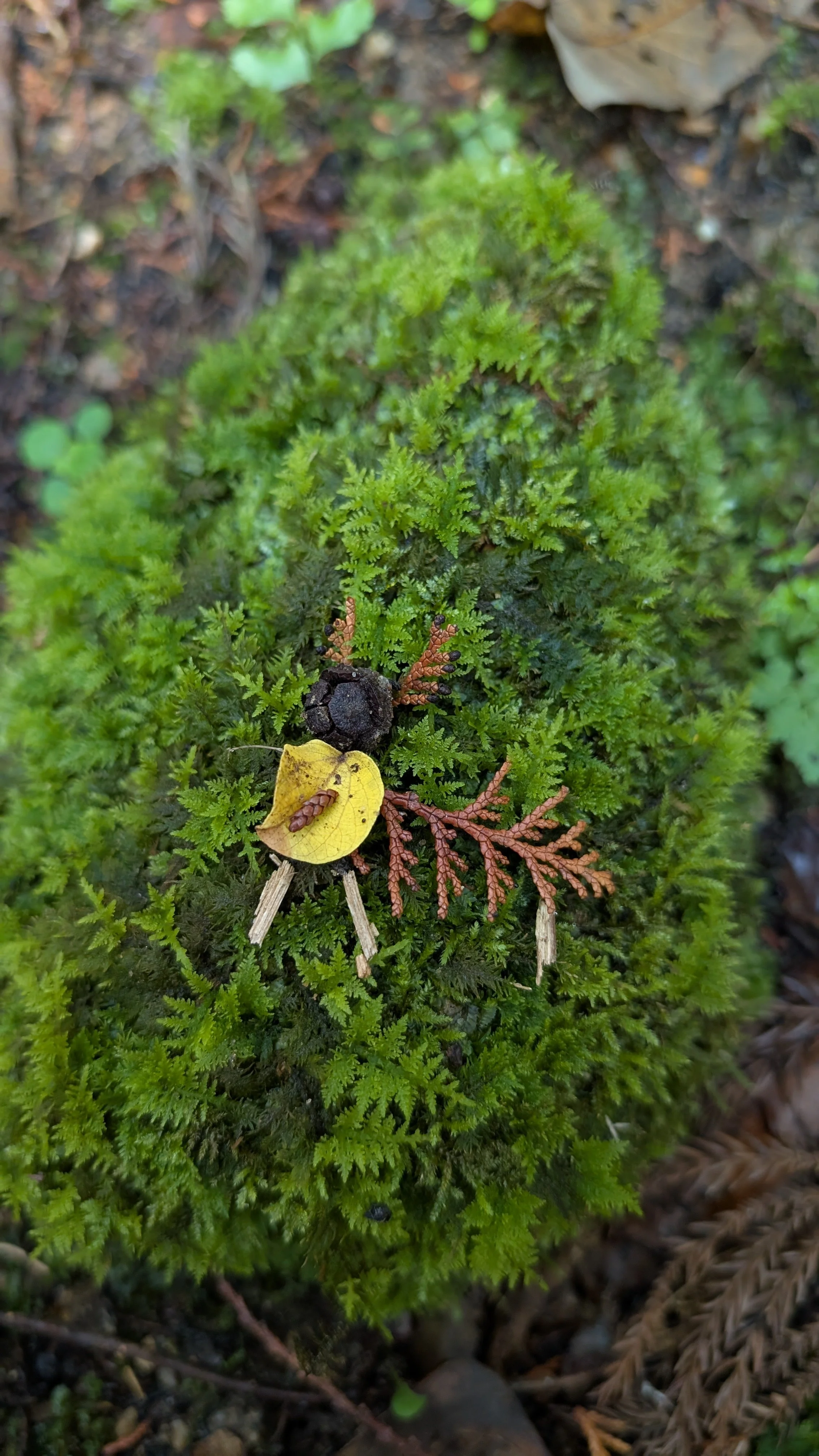 a cute dear made from forest elements