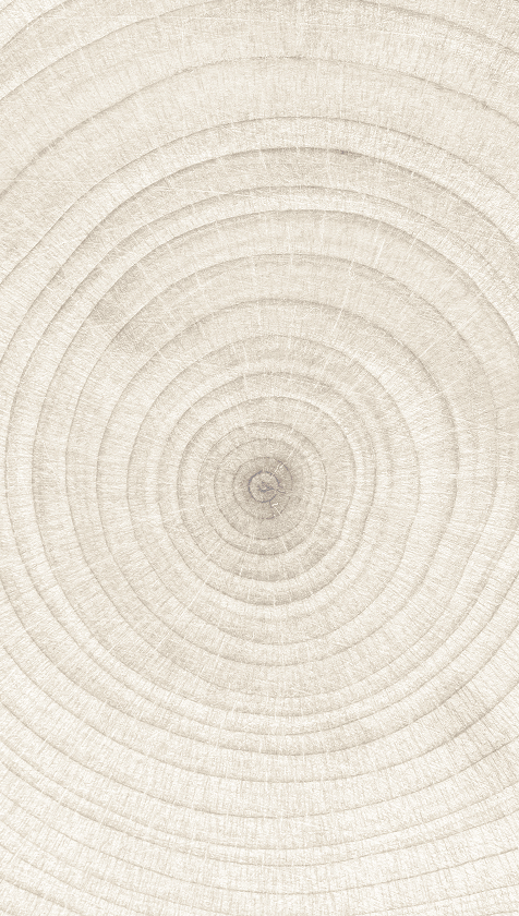 Close-up of a tree trunk showing growth rings.