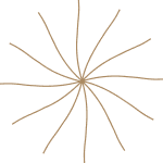 A firework explosion with multiple streaks radiating from the center