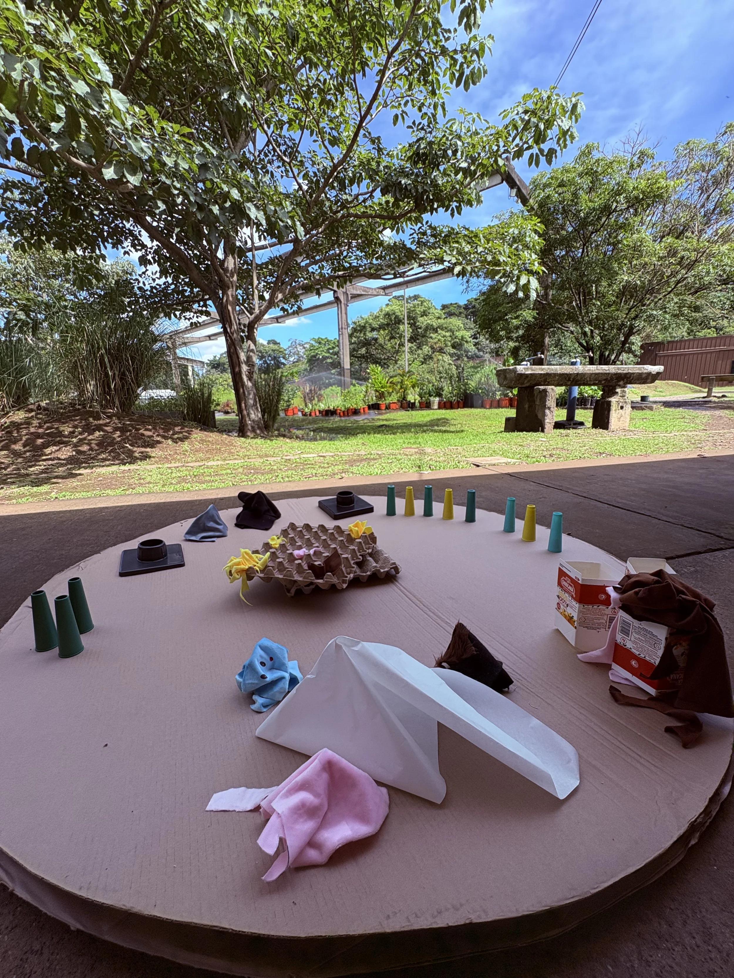 A table set up outdoors with various items, including a tissue box, cloth napkins, paper cones, small plates, an egg carton, and other scattered objects, with a park and trees in the background.