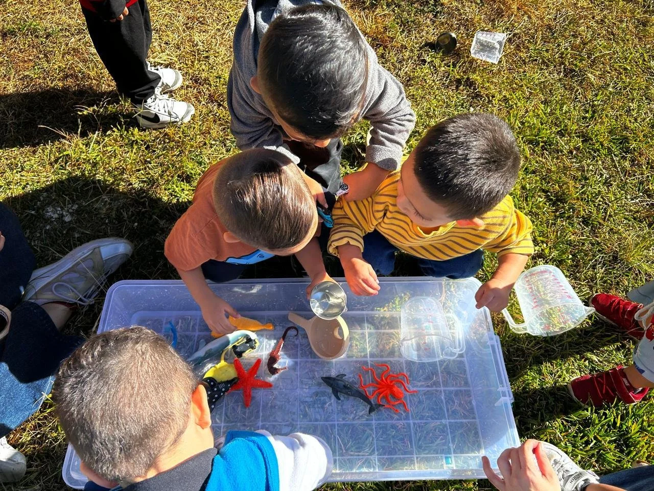 Group of children gathered around a transparent plastic container filled with toy sea creatures, including a starfish, octopus, and fish, outdoors on grass.