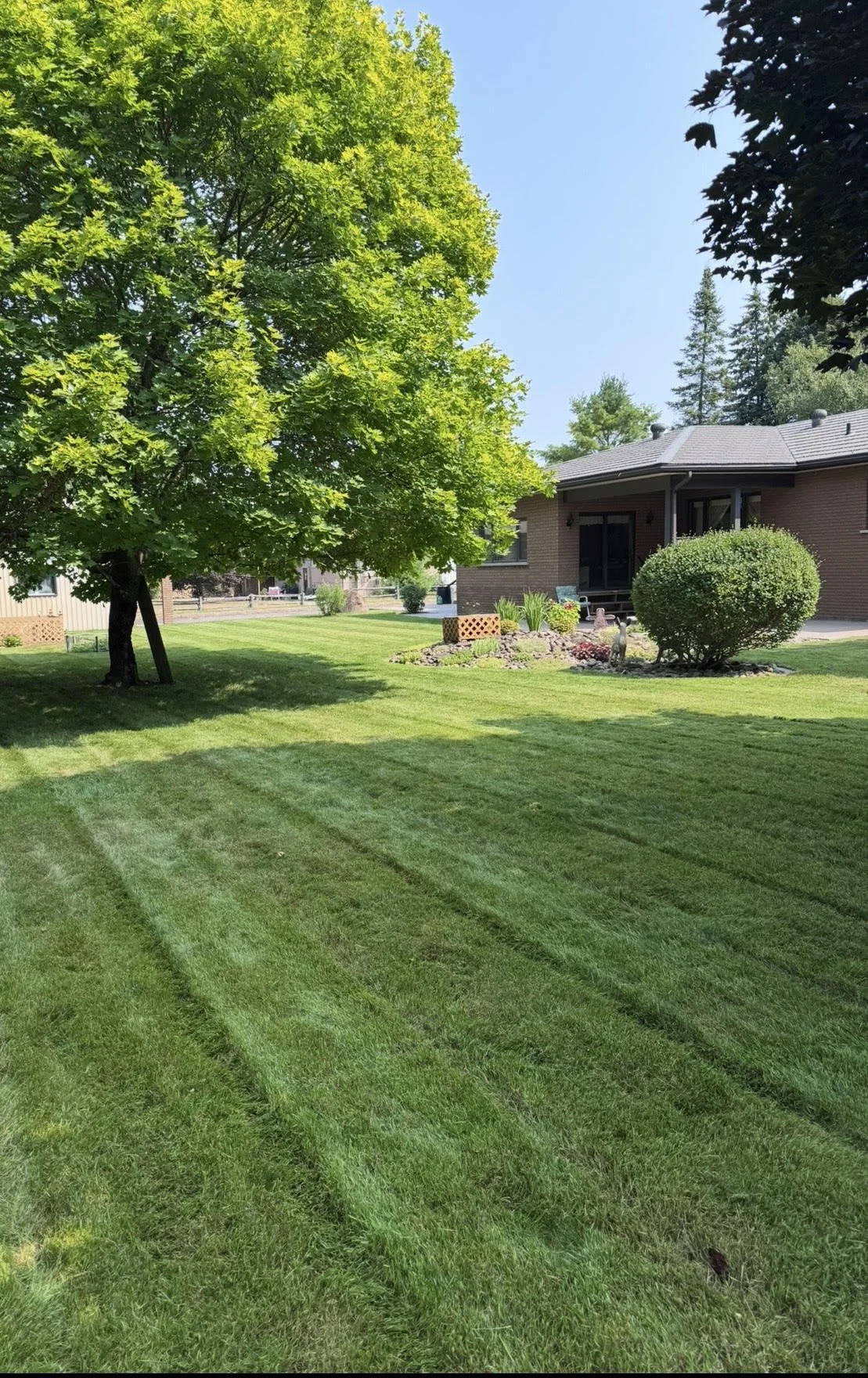 Spring Yard Cleanup