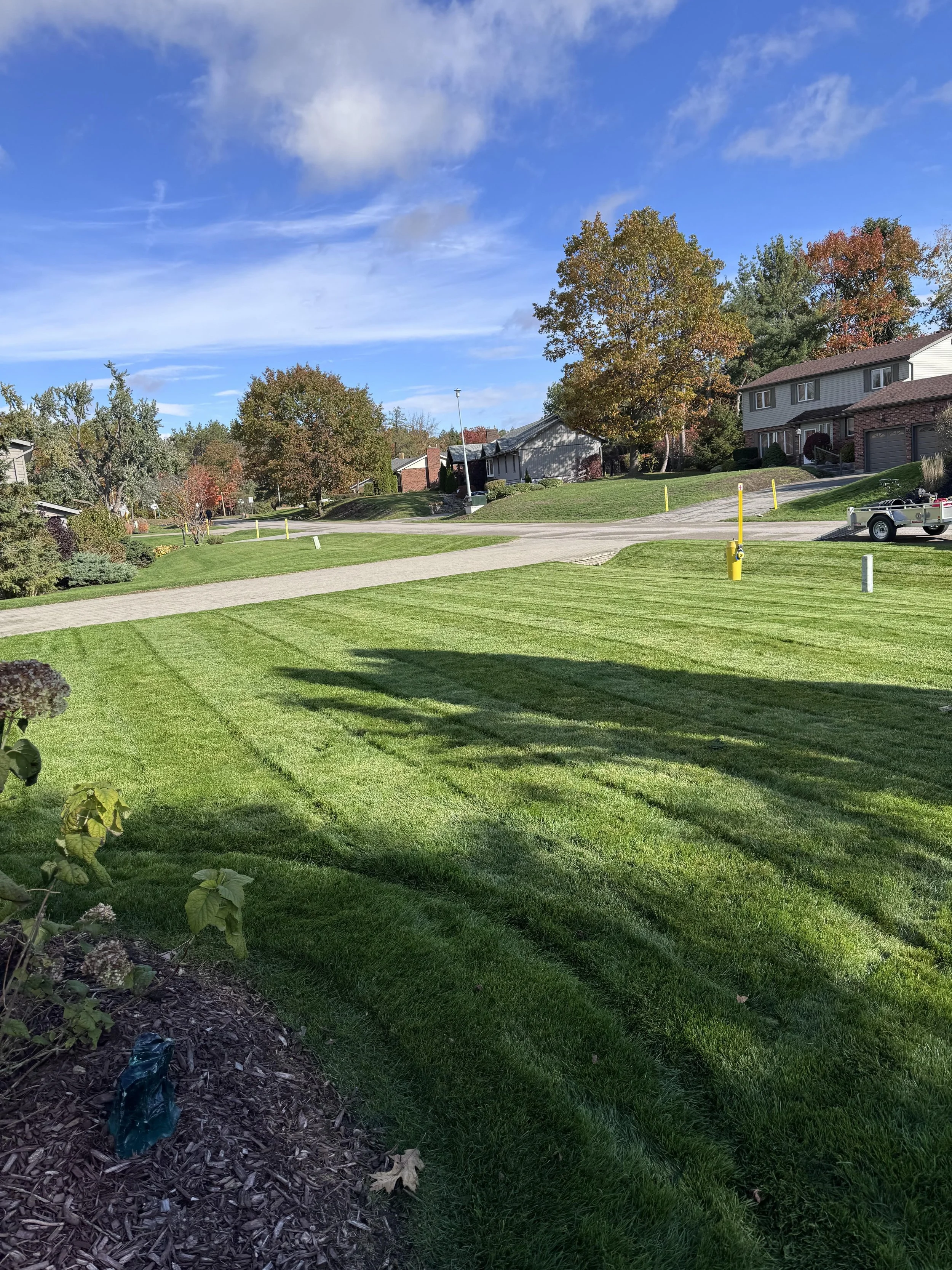 Fall Yard Cleanup
