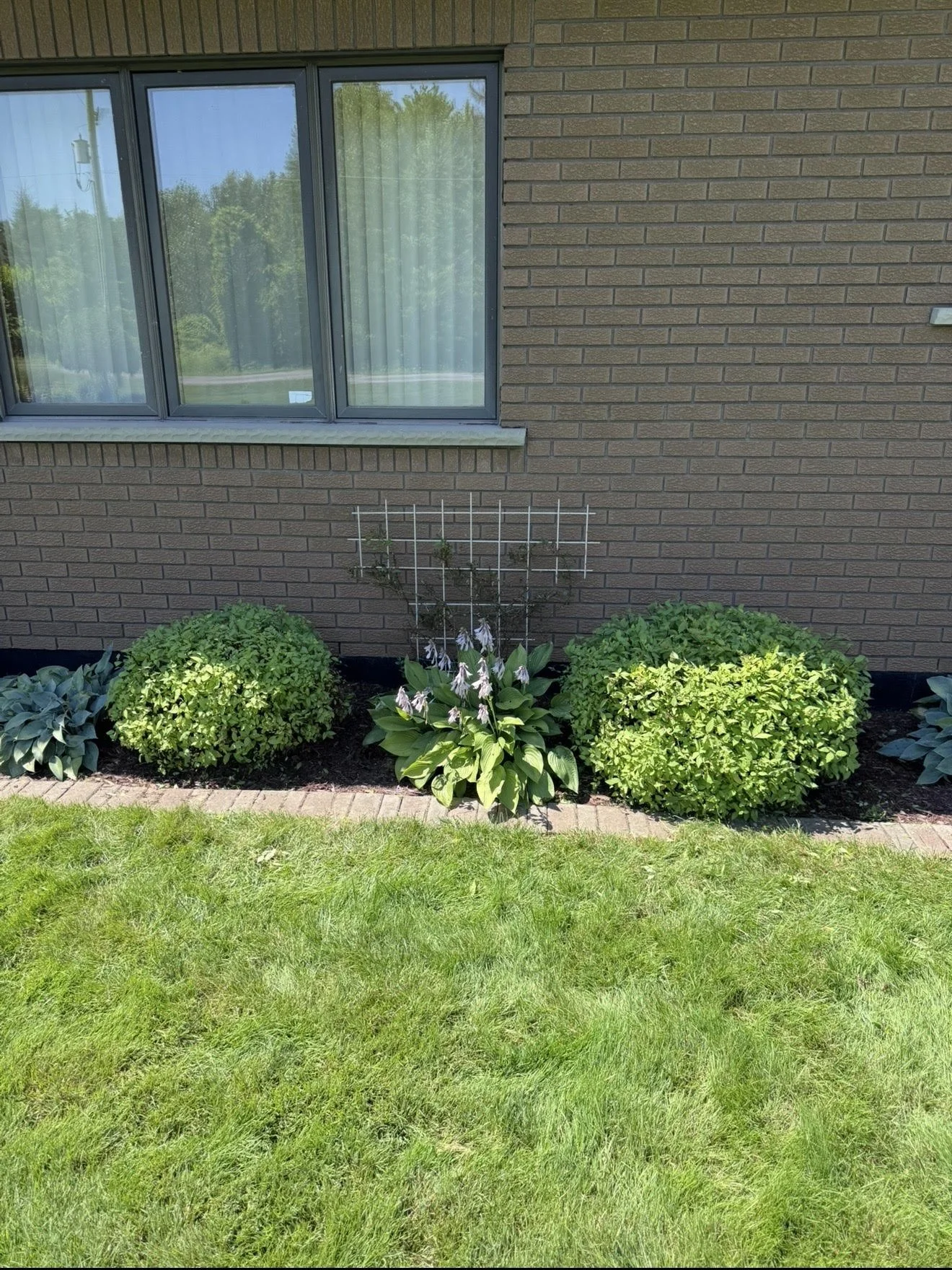 Garden Bed Maintenance