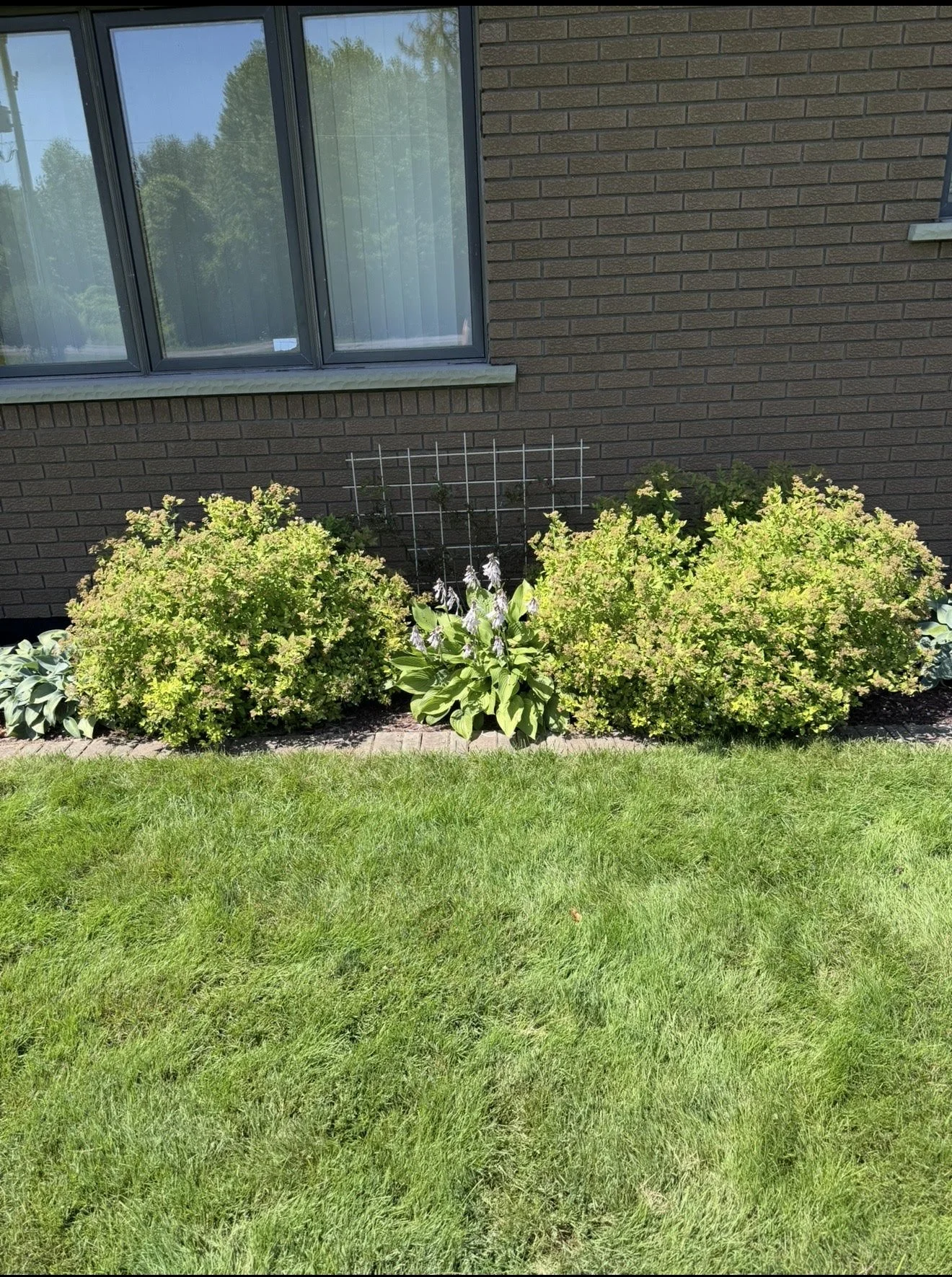 Garden 4.jpg