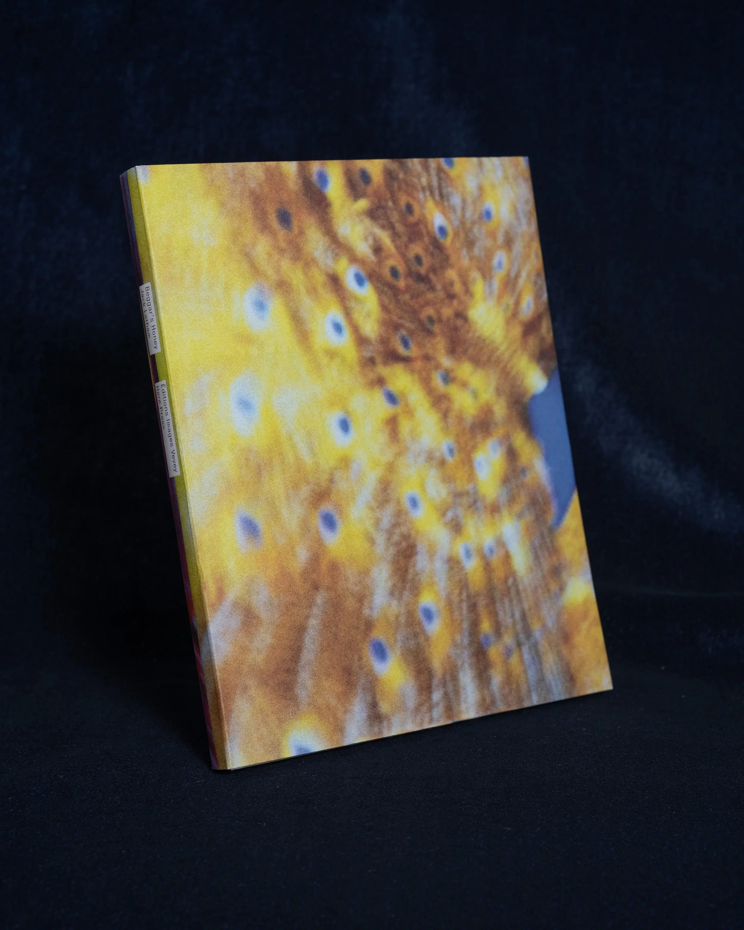 BEGGAR'S HONEY - JACK LATHAM