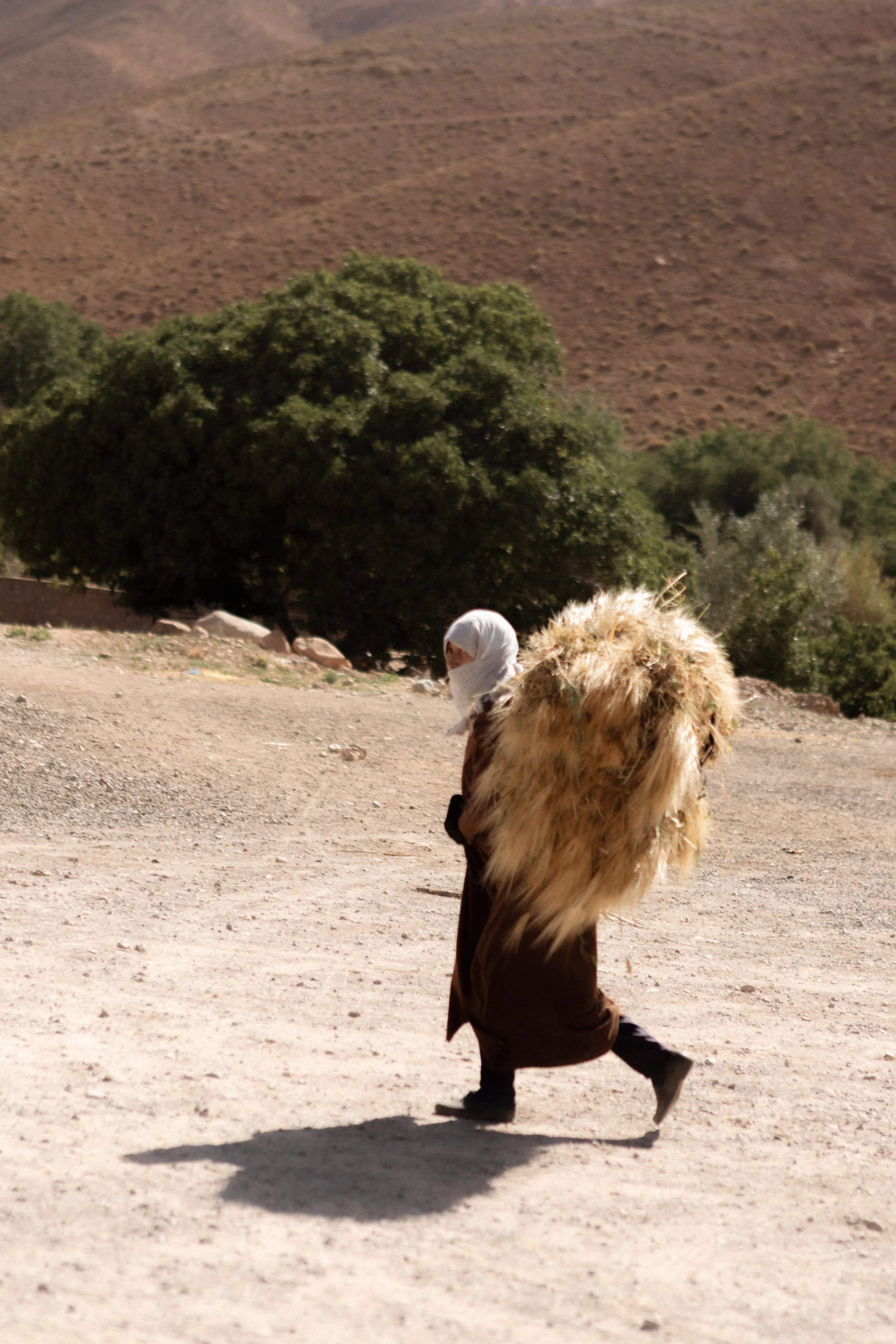 morocco-travel-sahara-by-diavoller-168.jpg
