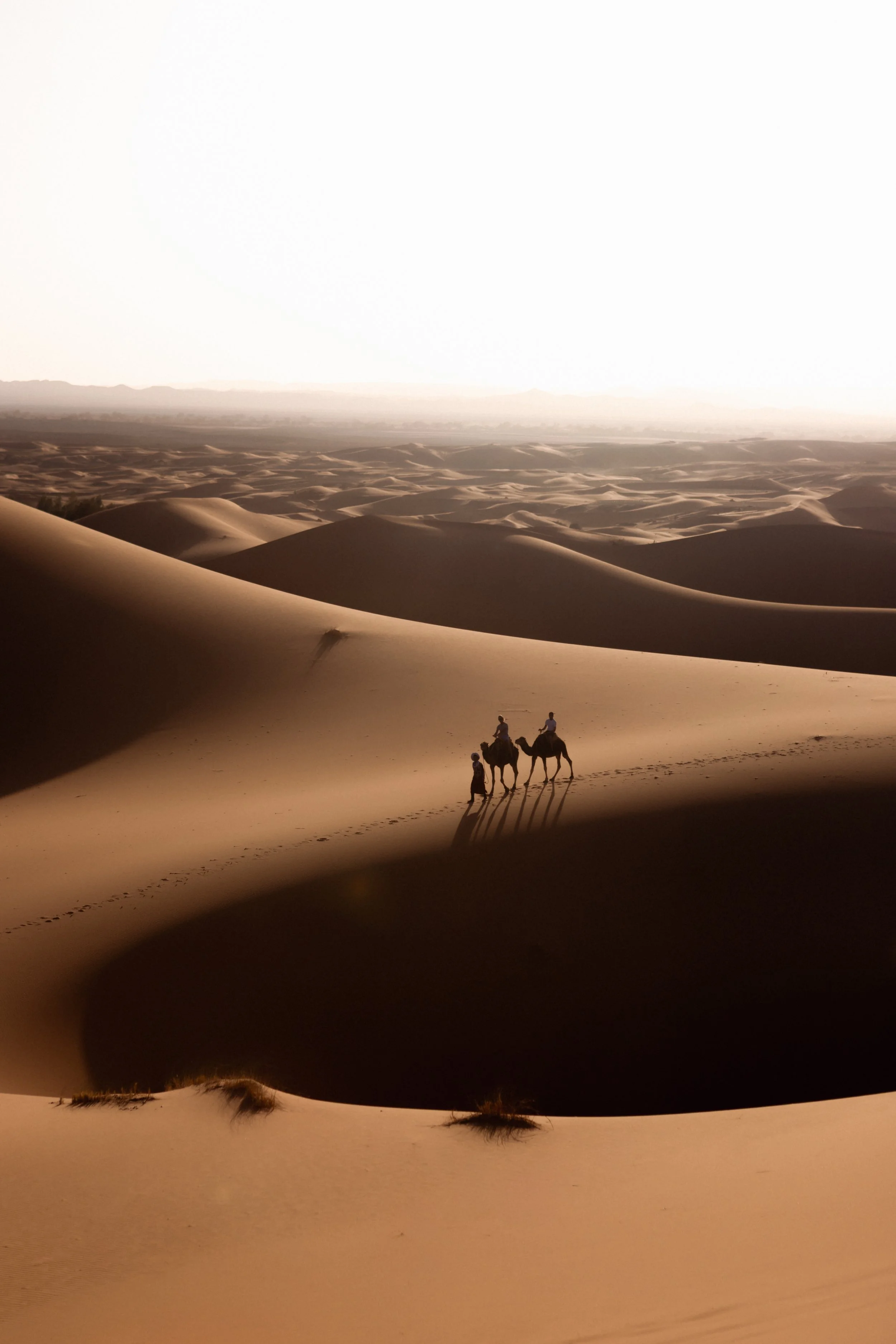 morocco-travel-sahara-by-diavoller-143.jpg