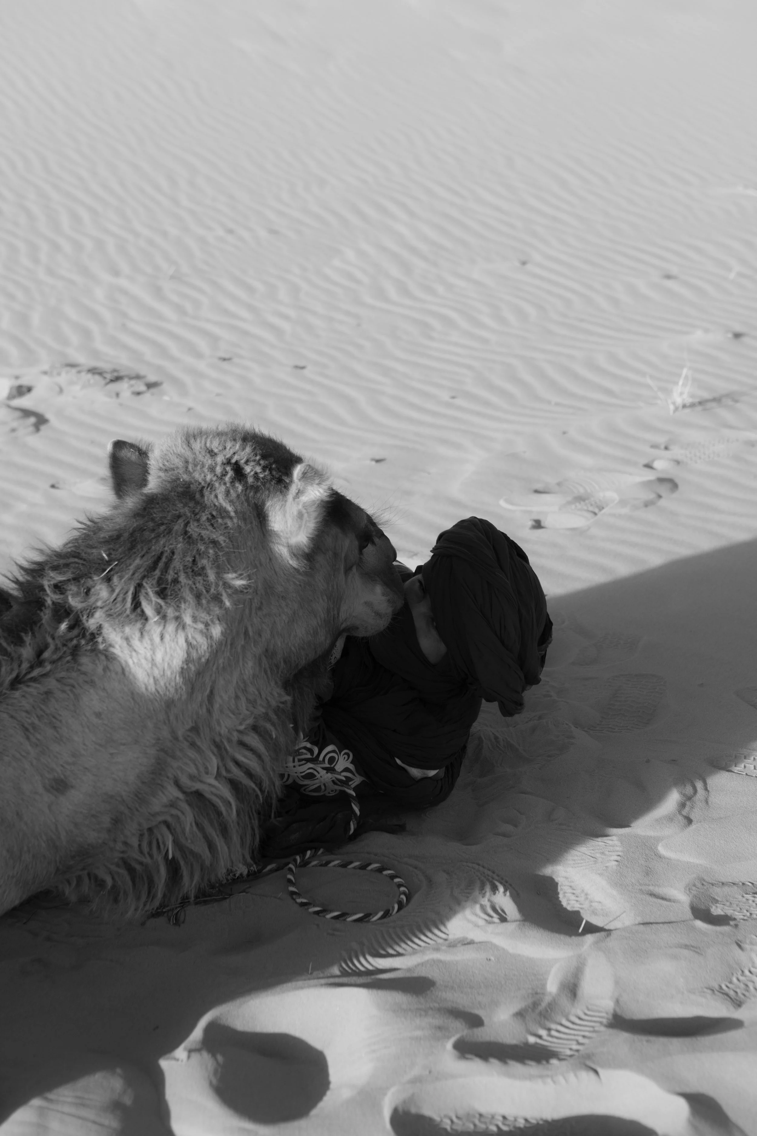 morocco-travel-sahara-by-diavoller-192.jpg