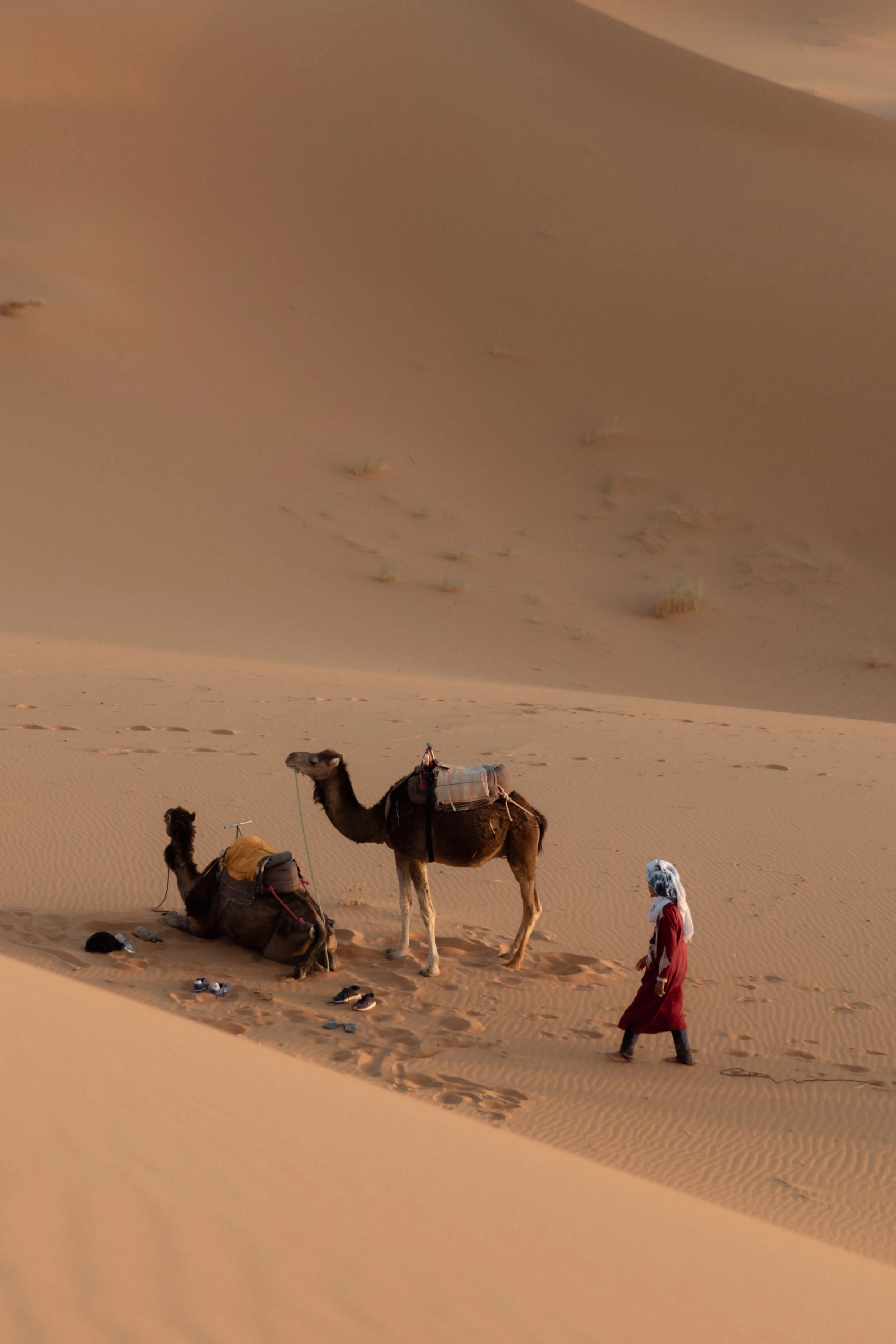 morocco-travel-sahara-by-diavoller-203.jpg