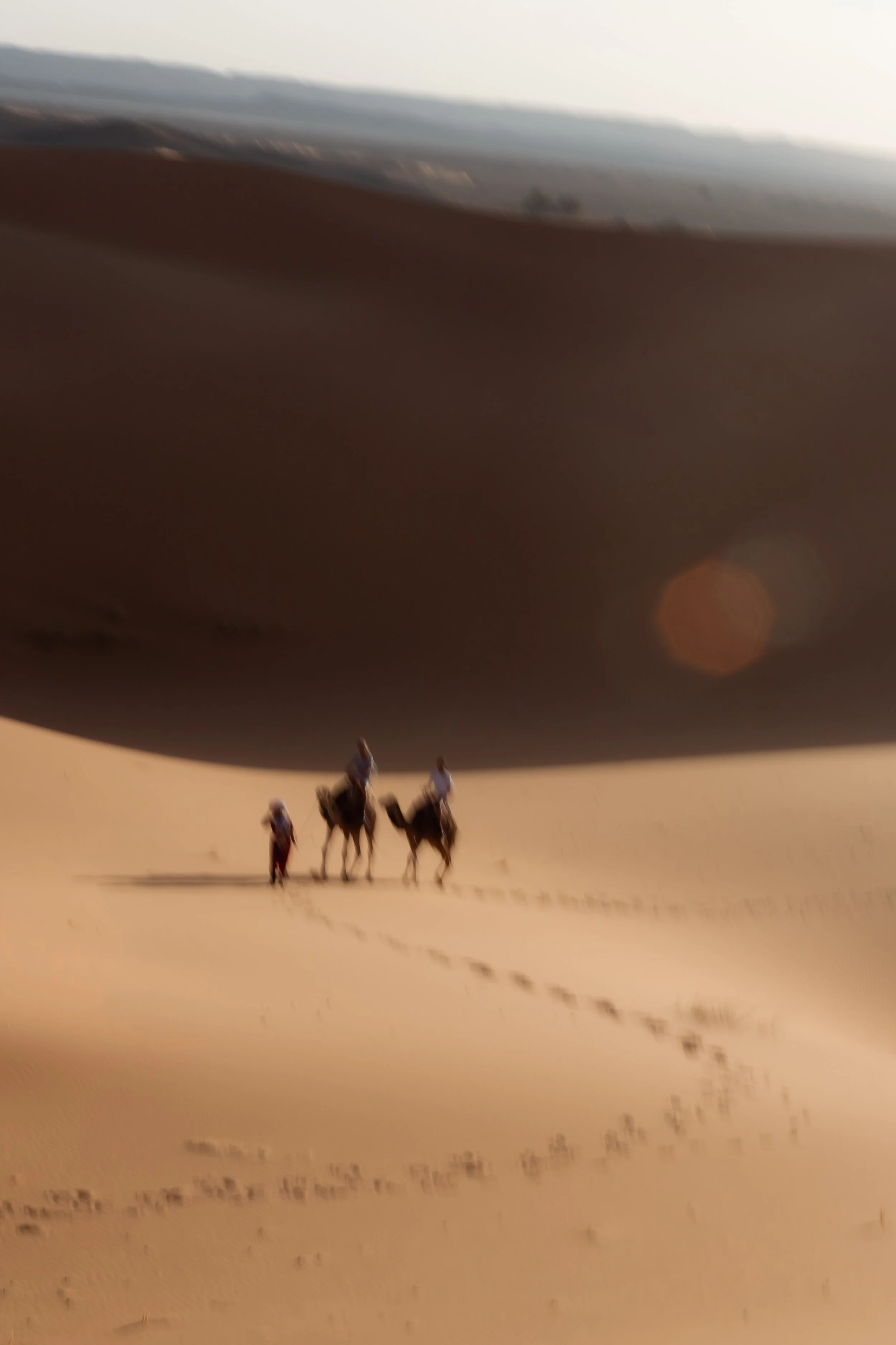 morocco-travel-sahara-by-diavoller-195.jpg