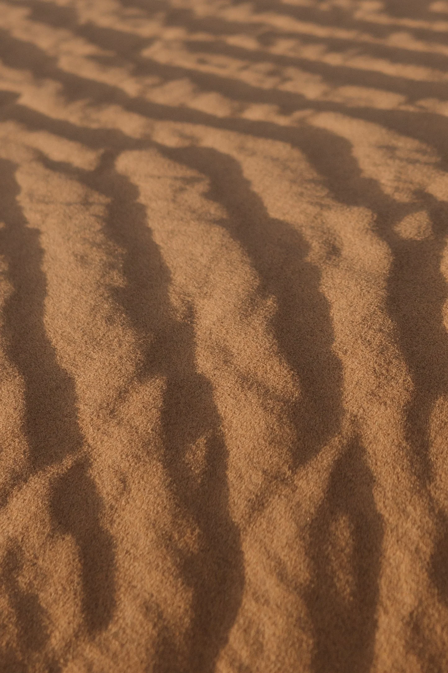morocco-travel-sahara-by-diavoller-223.jpg