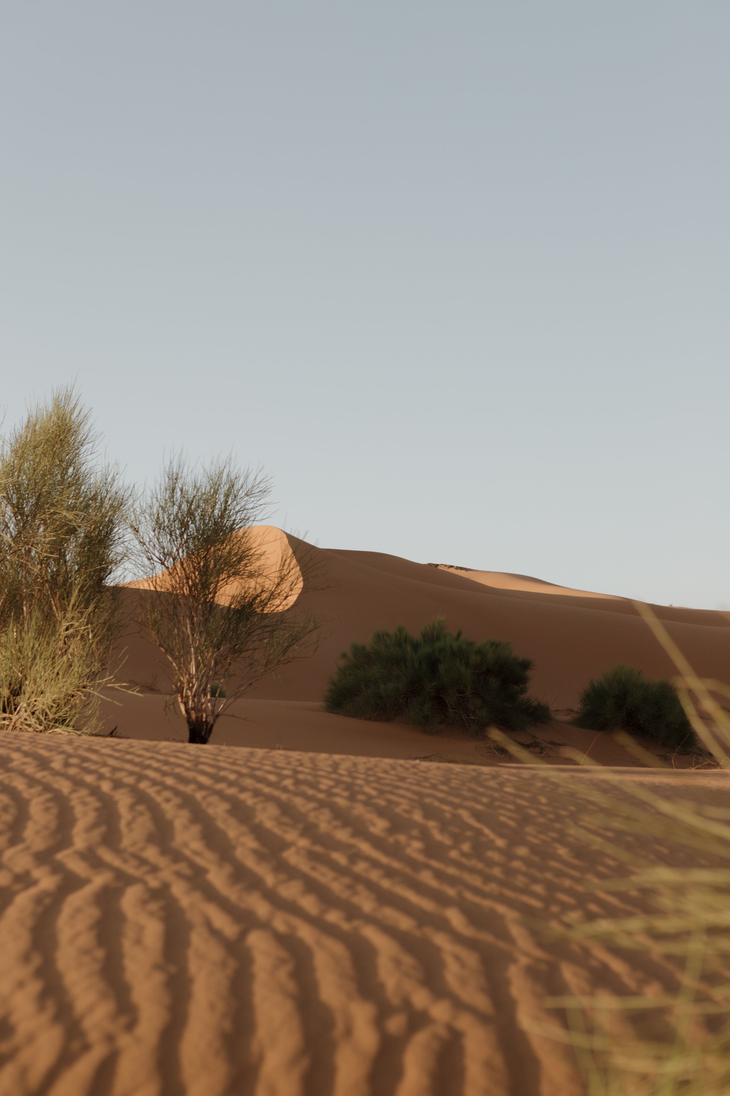 morocco-travel-sahara-by-diavoller-224.jpg