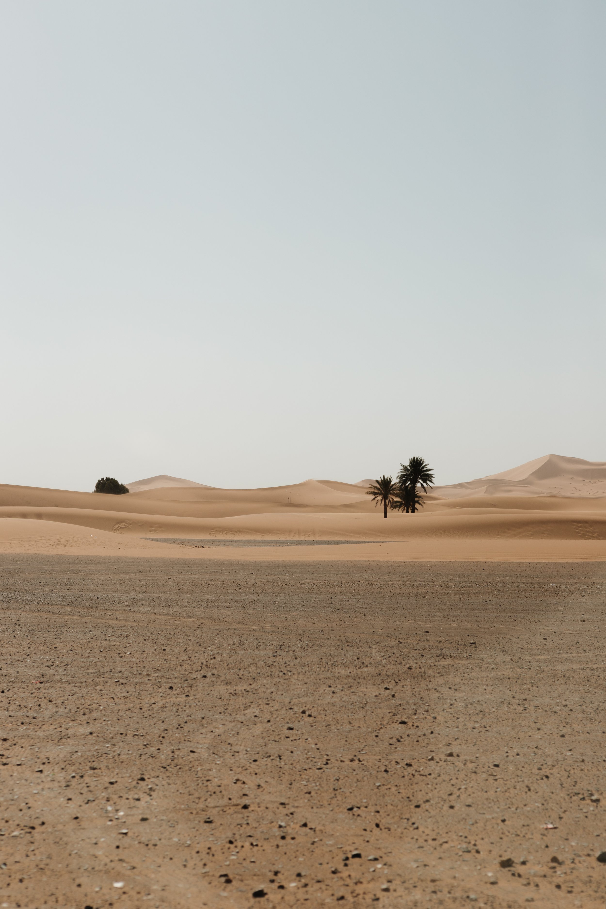 morocco-travel-sahara-by-diavoller-234.jpg