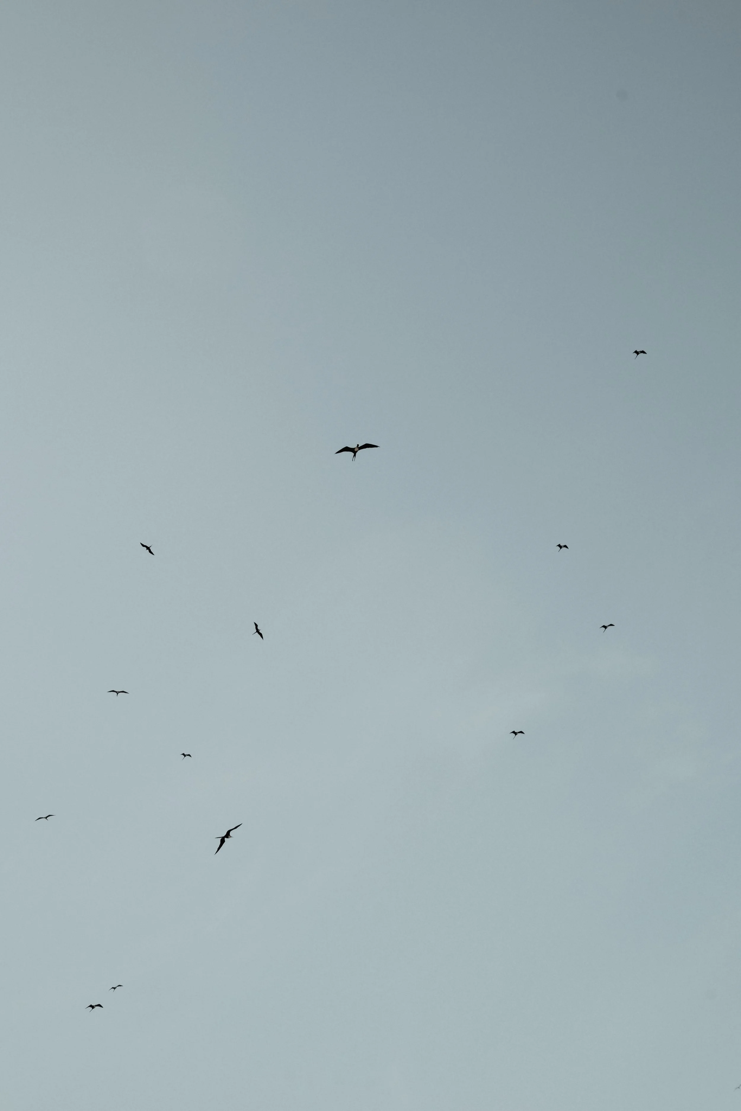 isla-mujeres-cancun-mexico-diavoller-22.jpg