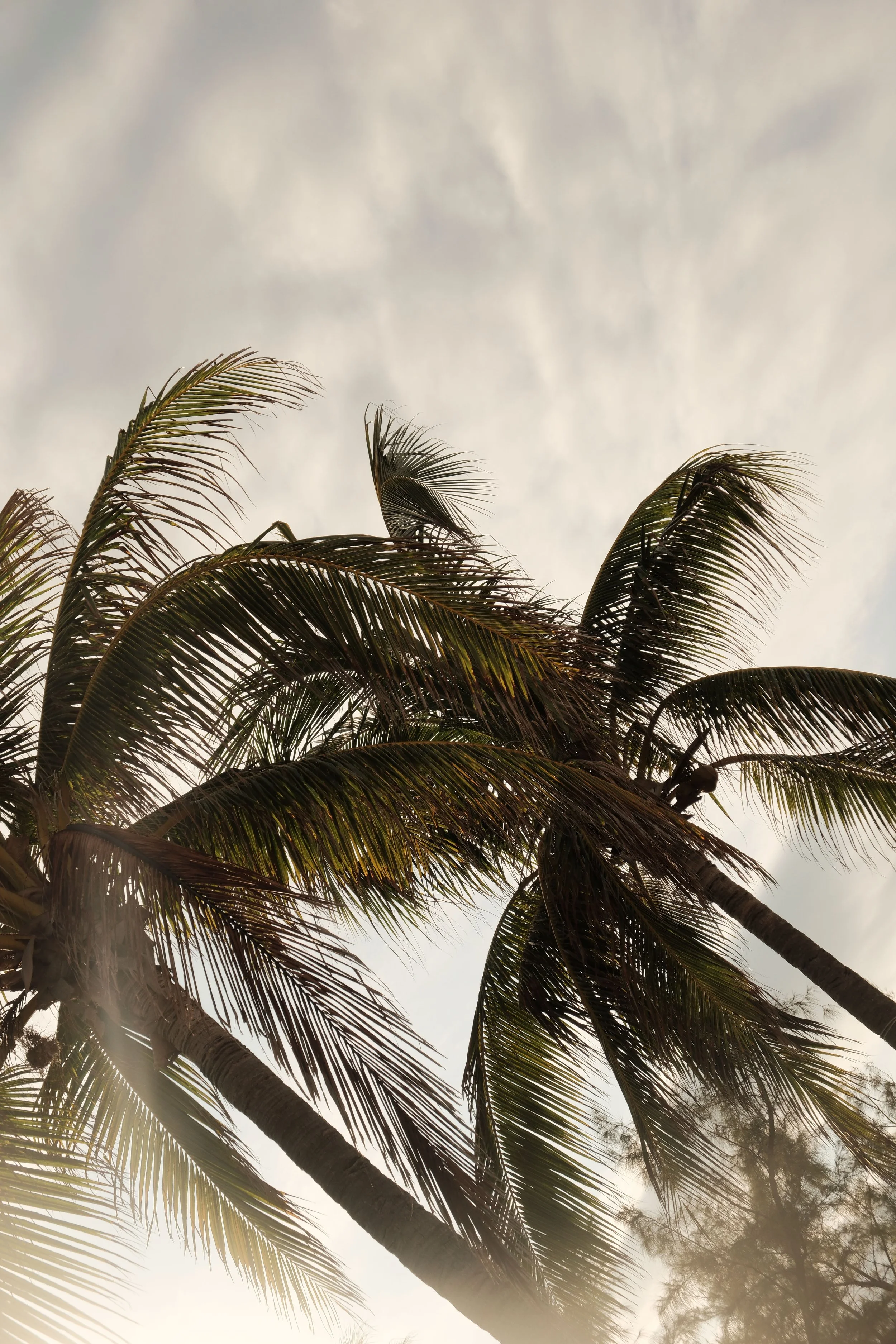 isla-mujeres-cancun-mexico-diavoller.jpg
