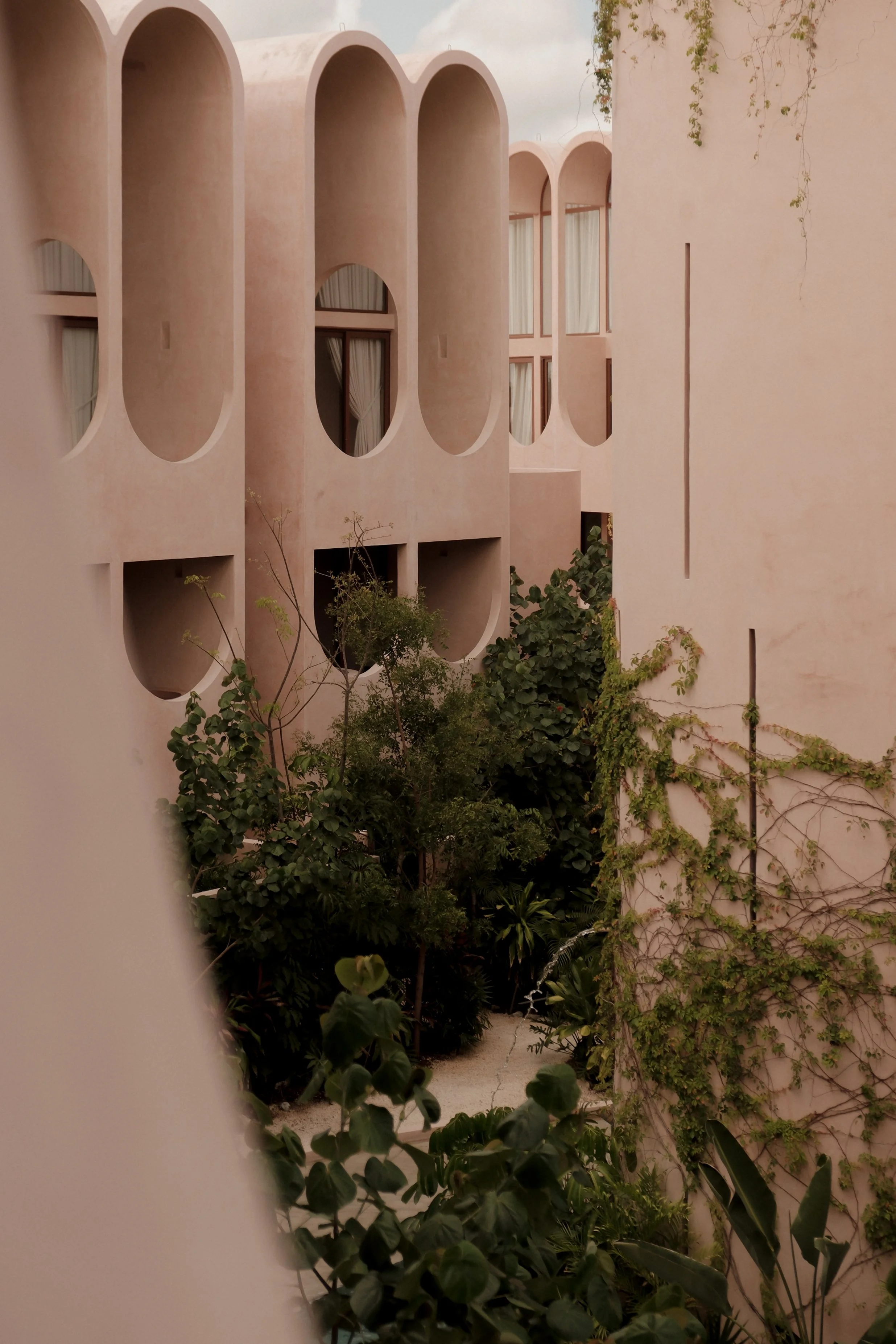 DSCF8978 2.jpg