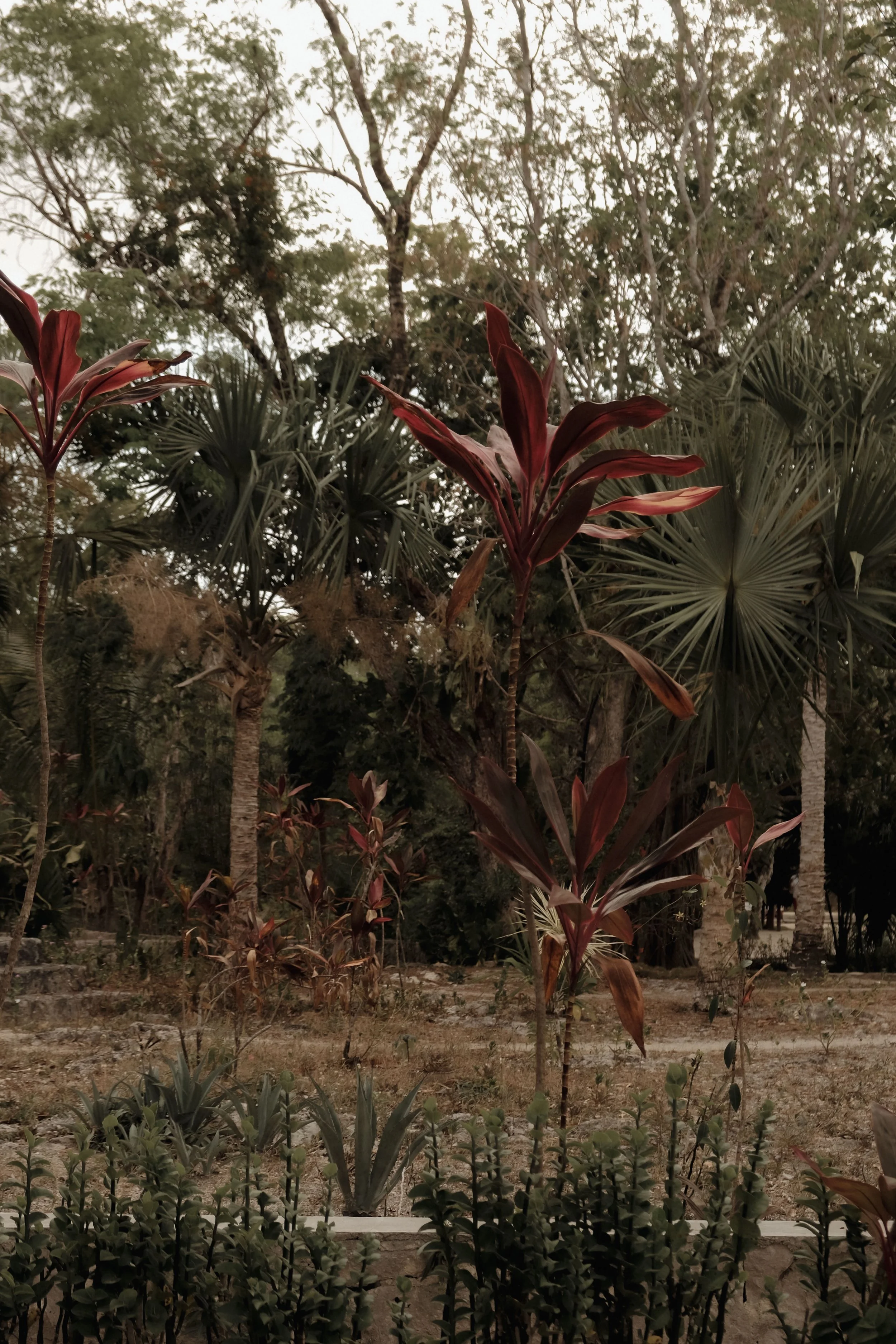 tulum-mexico-diavoller-104.jpg