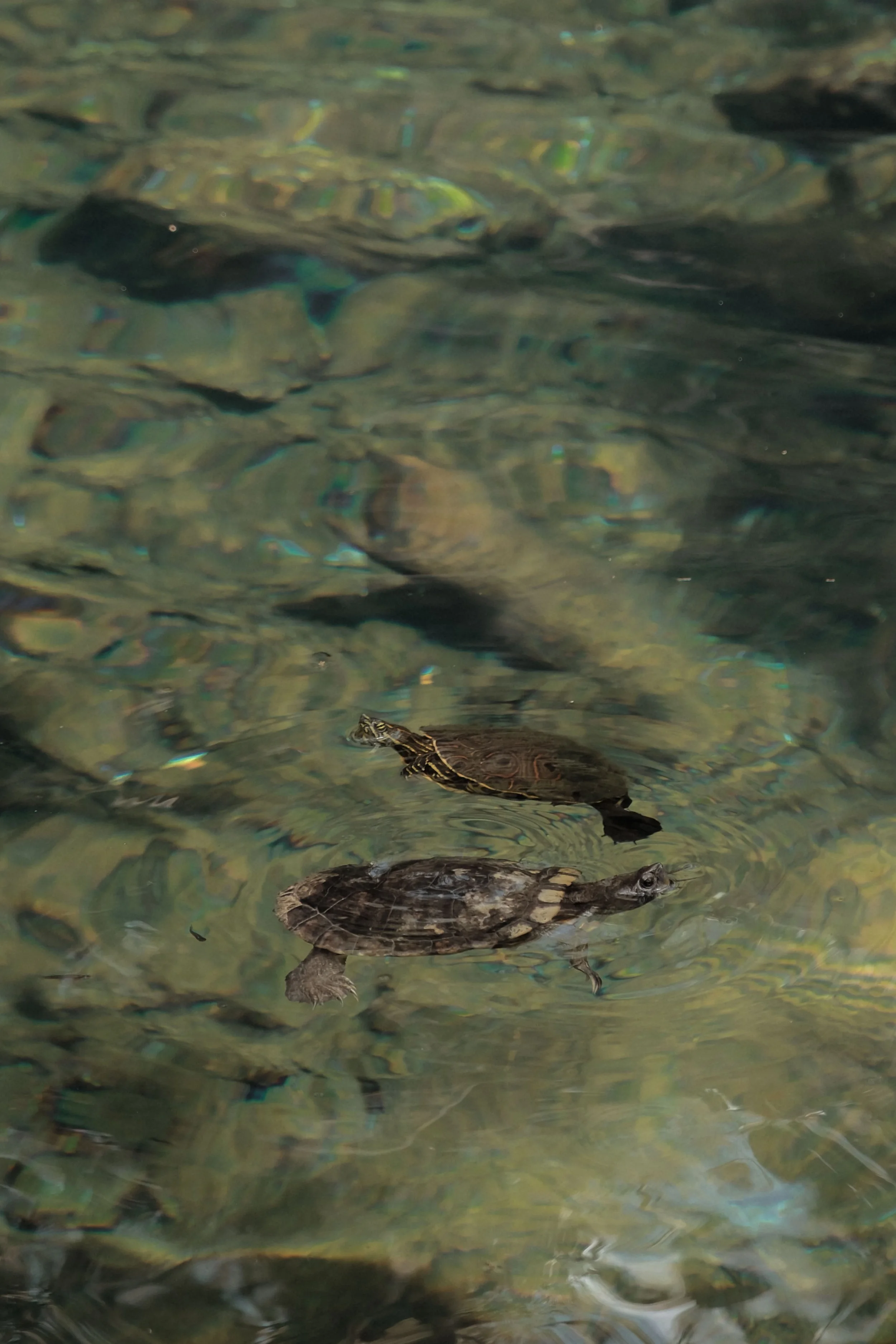 tulum-mexico-diavoller-110.jpg