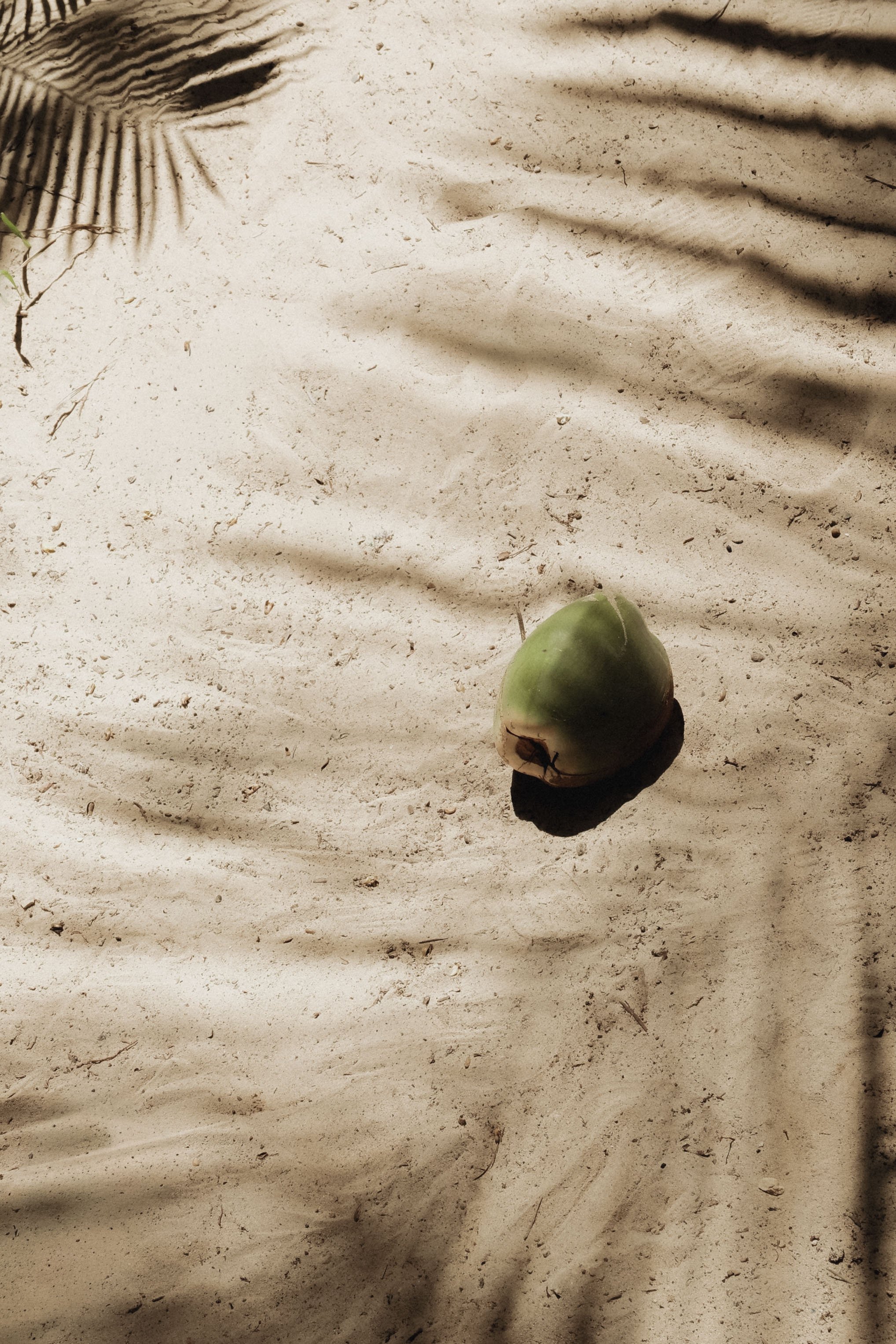 tulum-mexico-diavoller-64.jpg