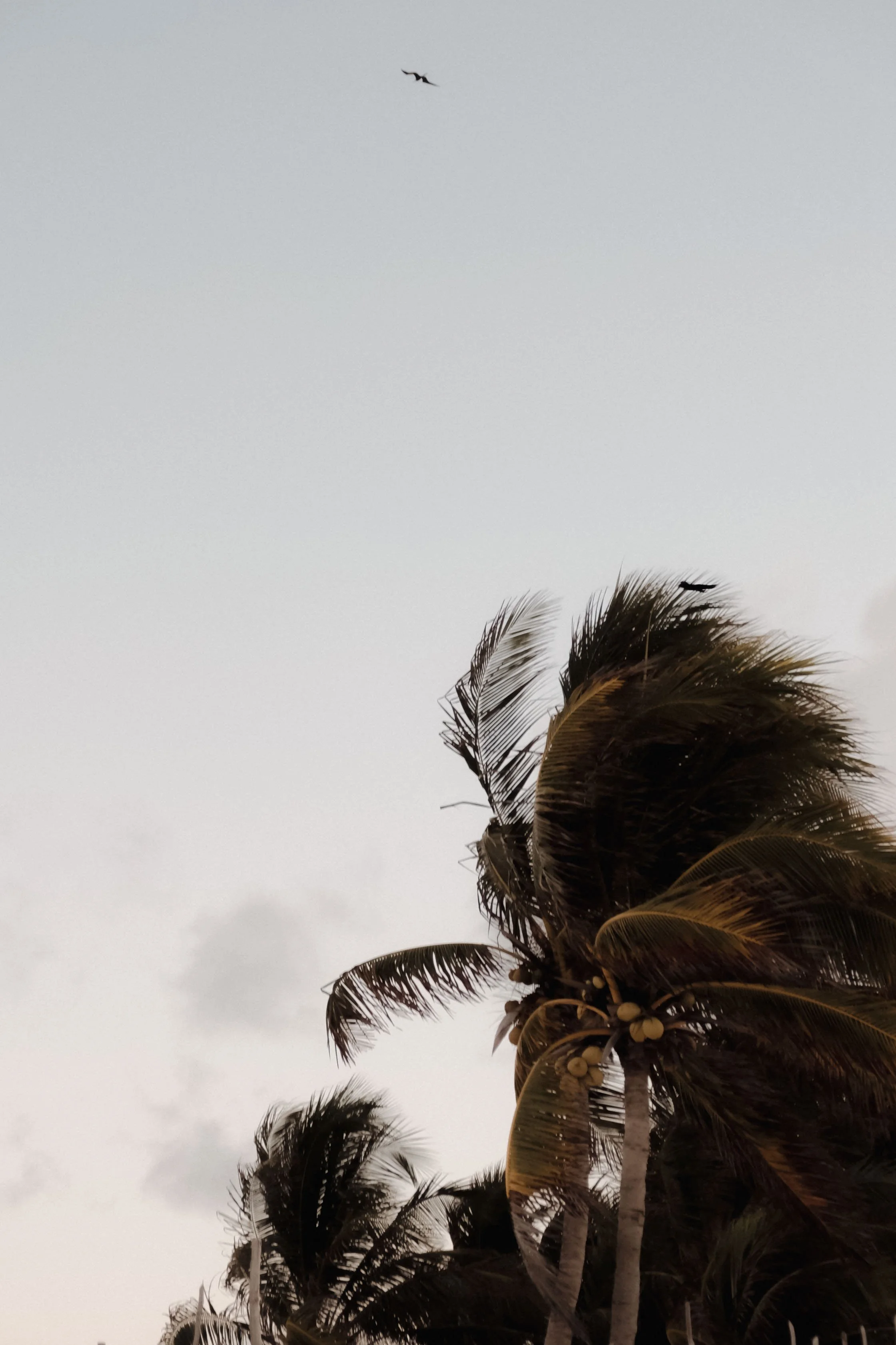tulum-mexico-diavoller-59.jpg